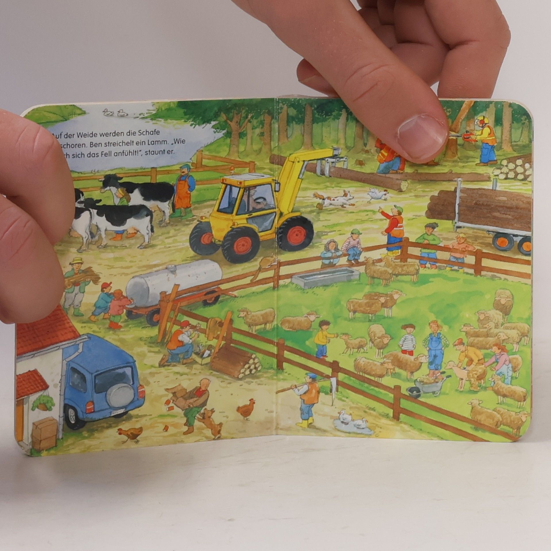 Pia Jüngert Kikeriki - Mein erstes Wimmelbuch vom Bauernhof - Mini-Wimmelbuch