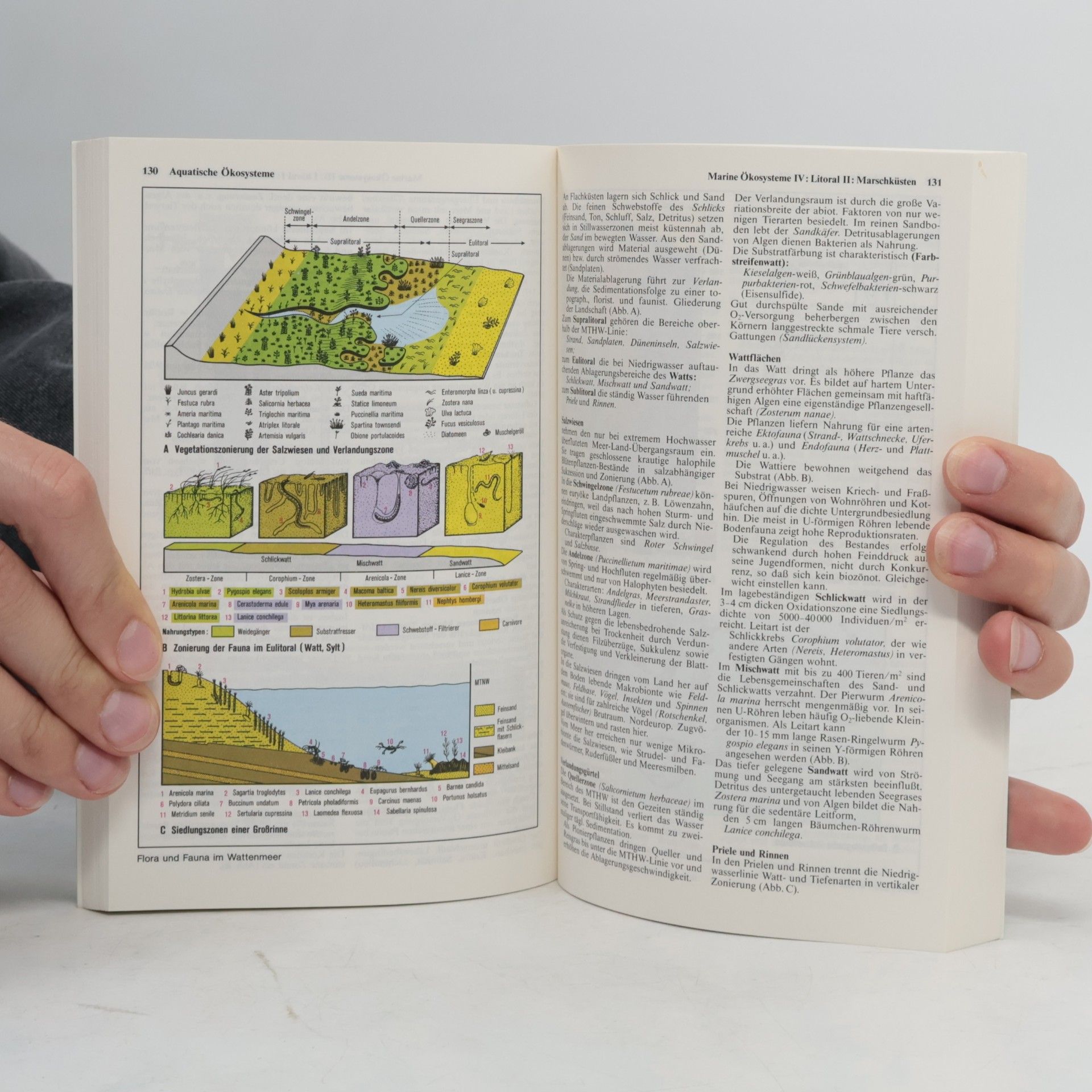 Klaus-Dieter Heinrich dtv-Atlas zur Ökologie