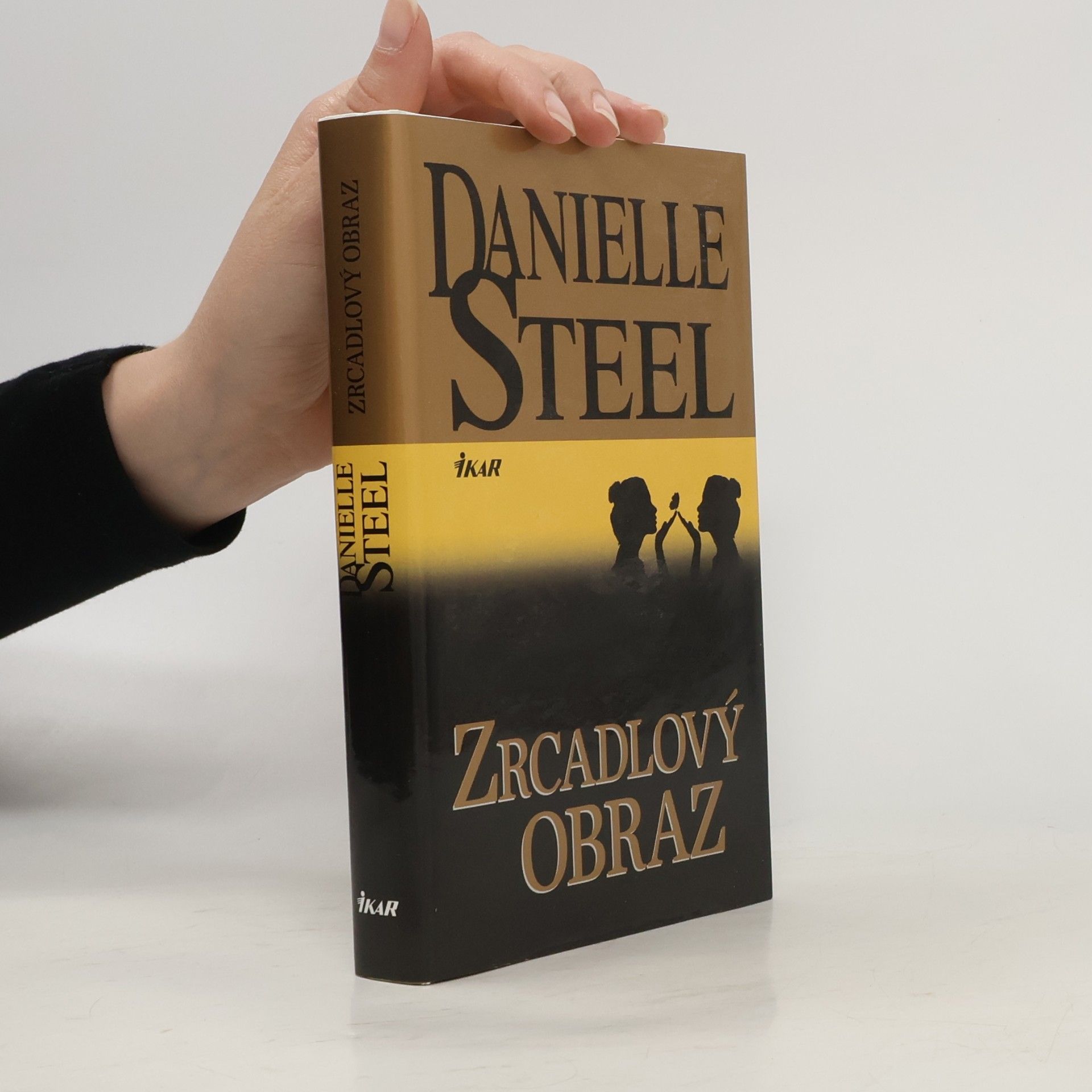 Danielle Steel Zrcadlový obraz