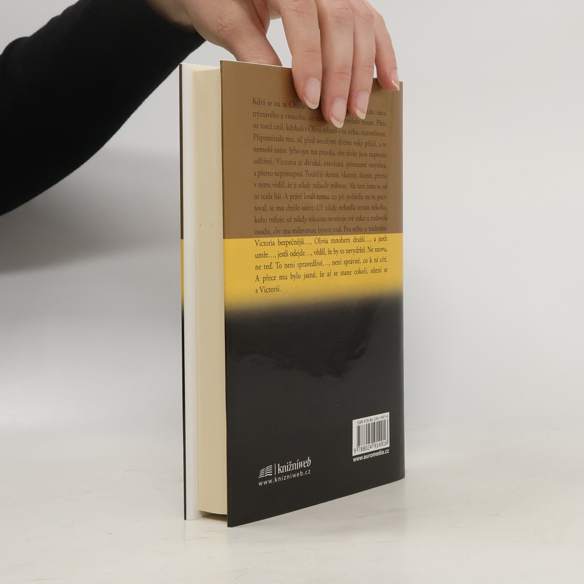 Danielle Steel Zrcadlový obraz