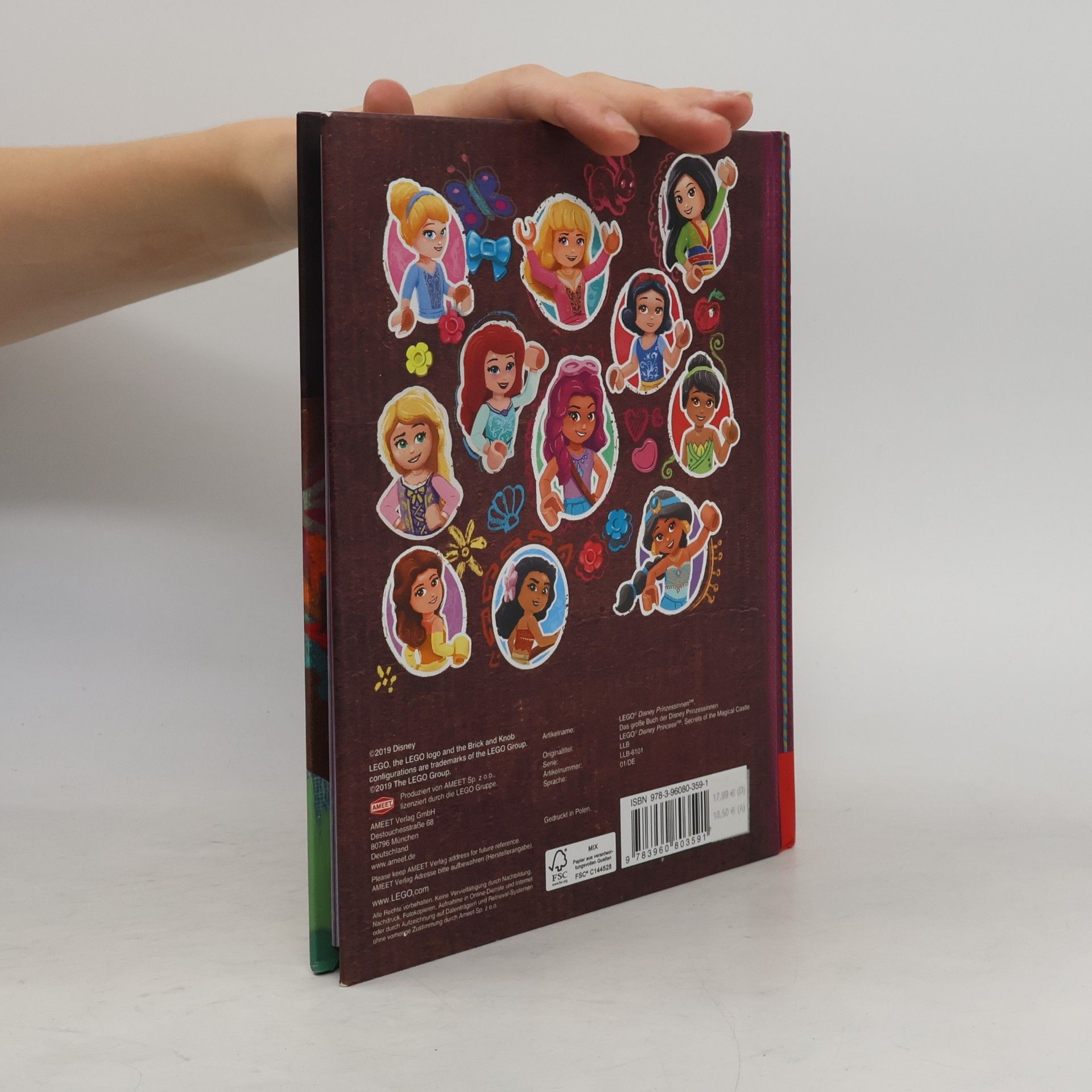 Jessica Brody Das große Buch der Disney Prinzessinnen