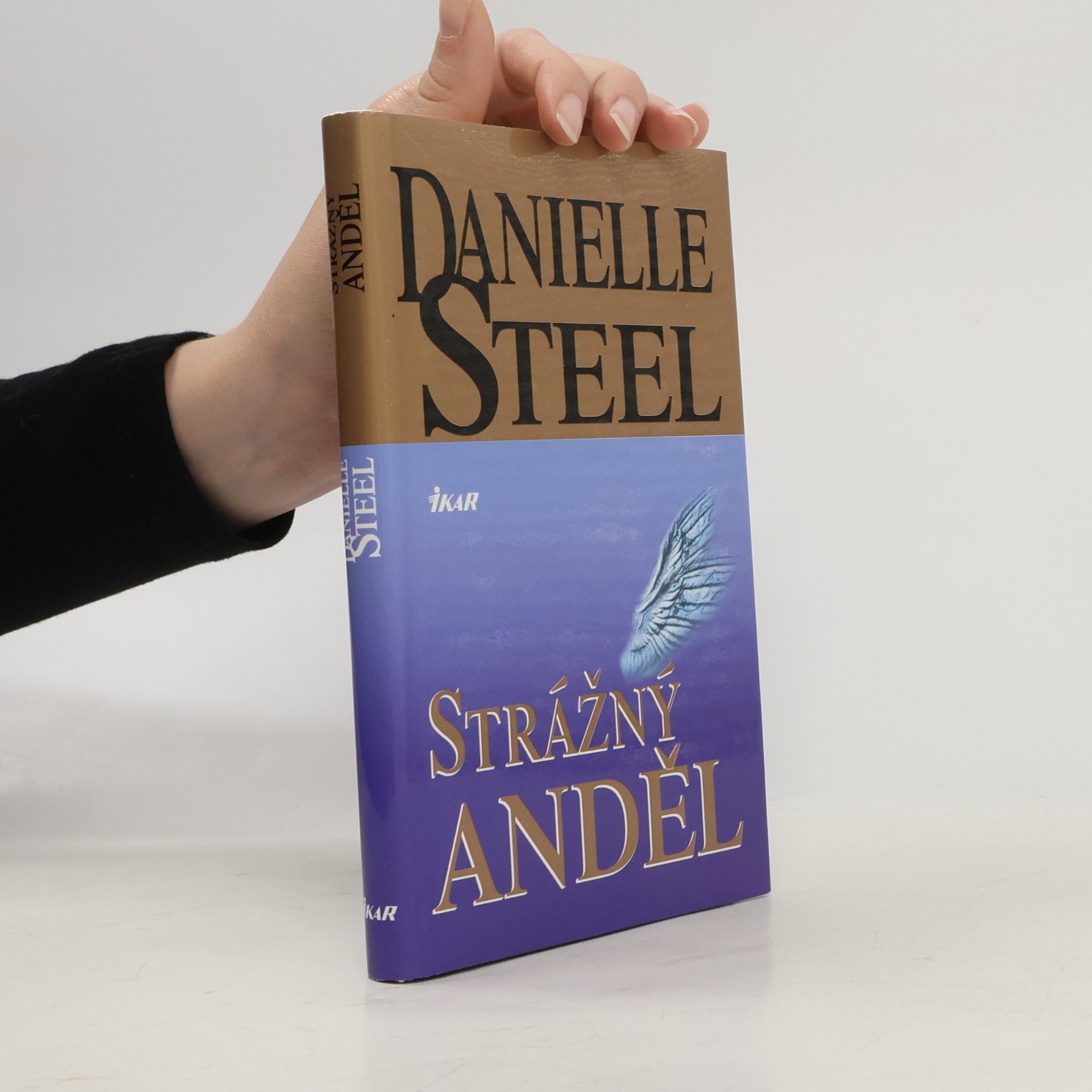Danielle Steel Strážný anděl