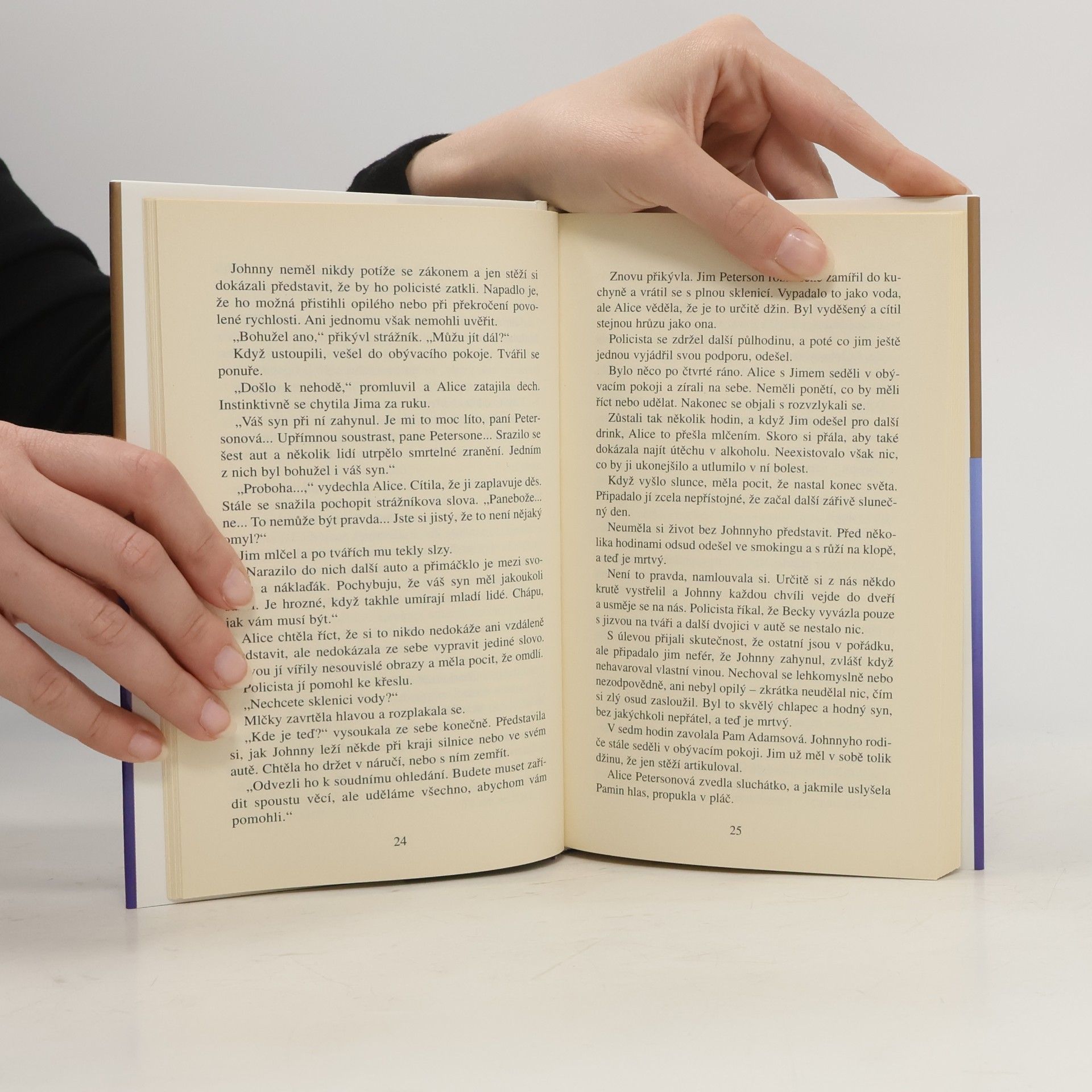 Danielle Steel Strážný anděl