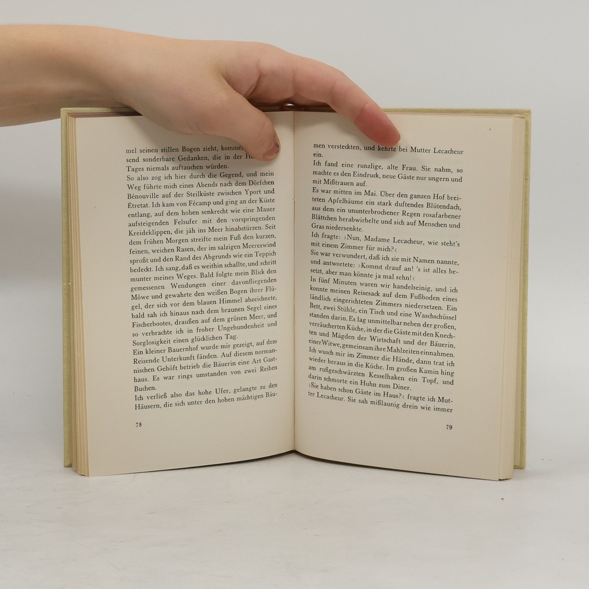 Guy de Maupassant Künstlergeschichten