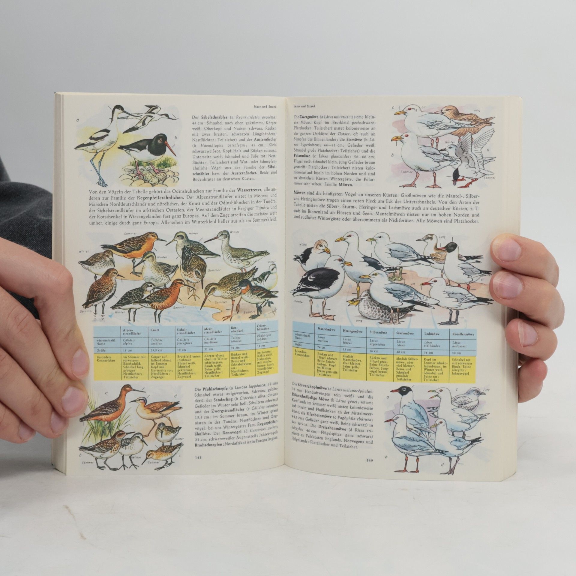 Harry Garms Pflanzen und Tiere Europas