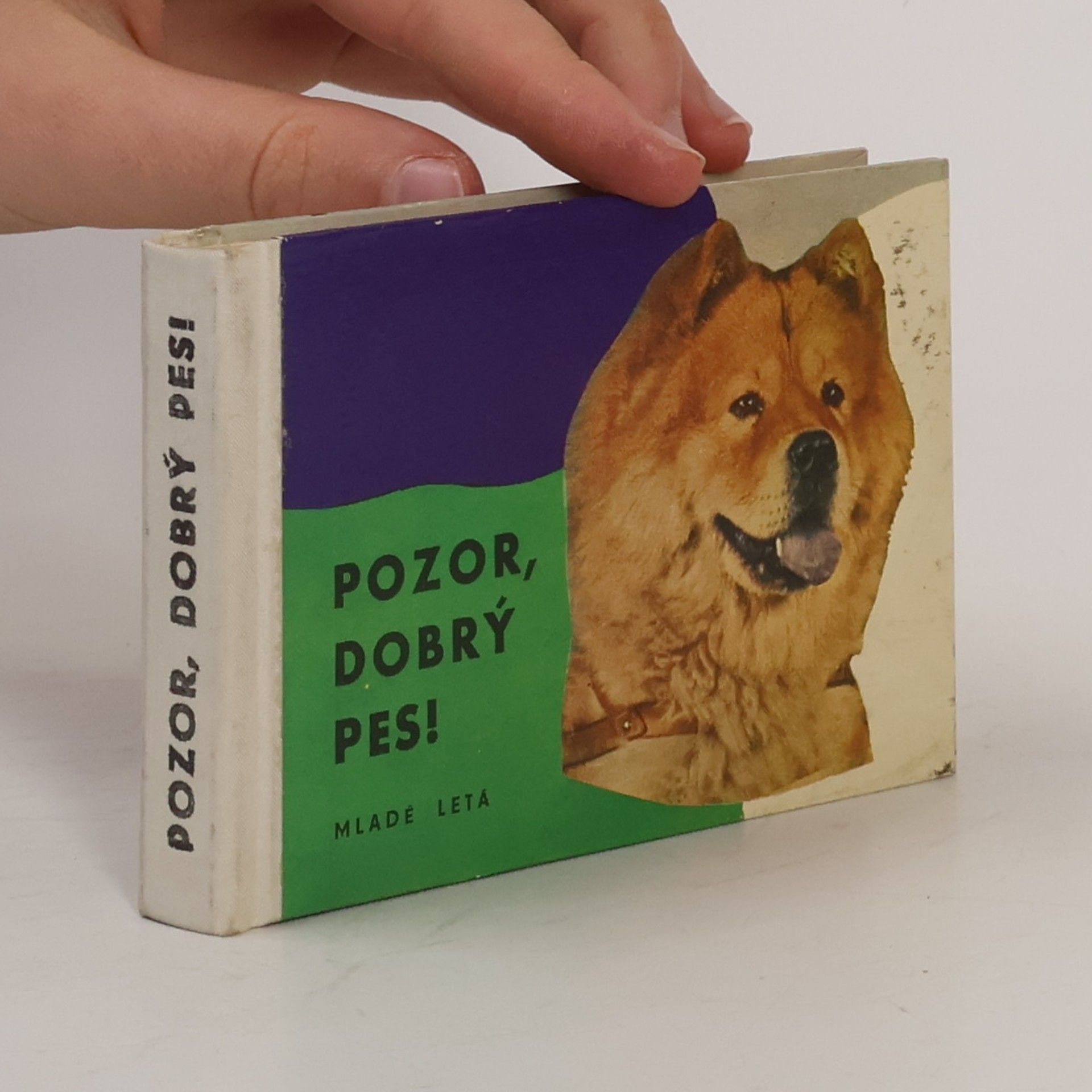 Adrián Zalay Pozor, dobrý pes!