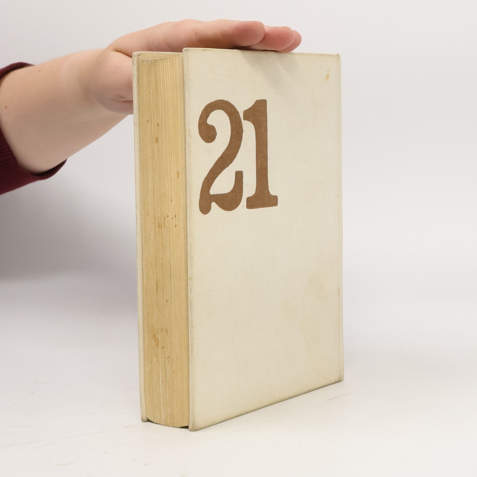 AA.VV. 21 detektivů