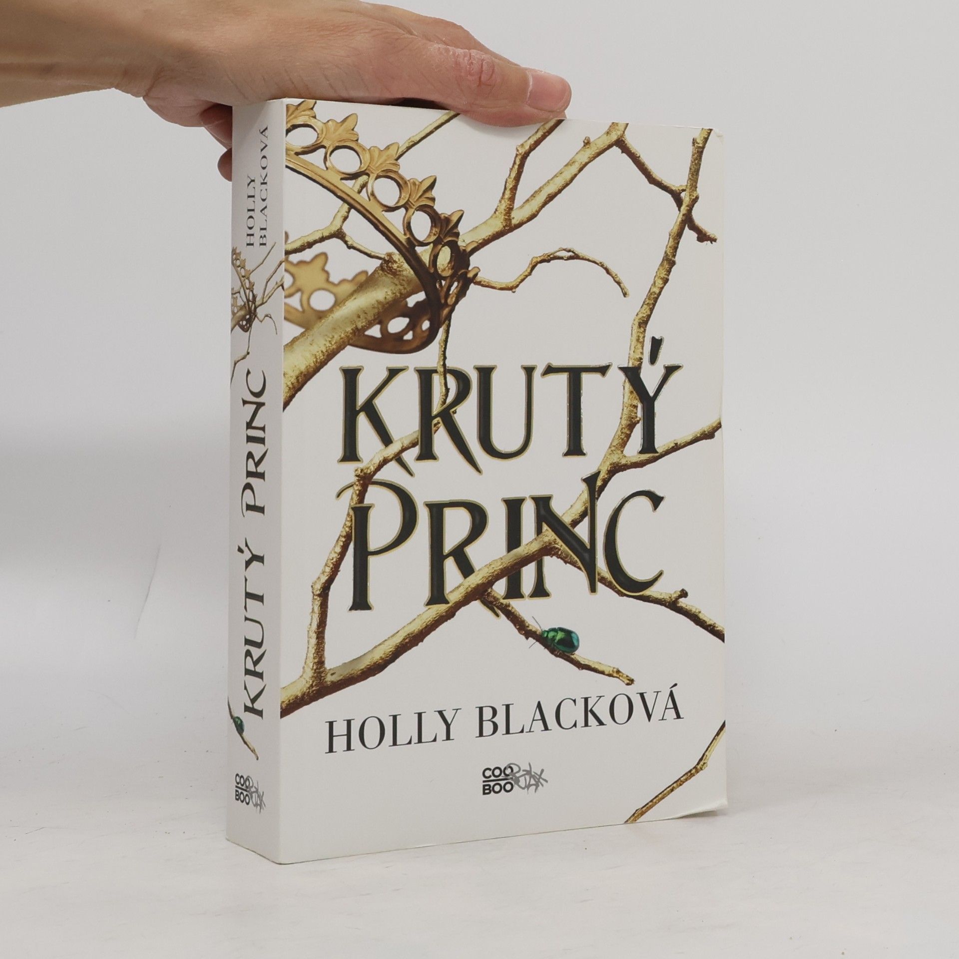 Holly Black Krutý princ