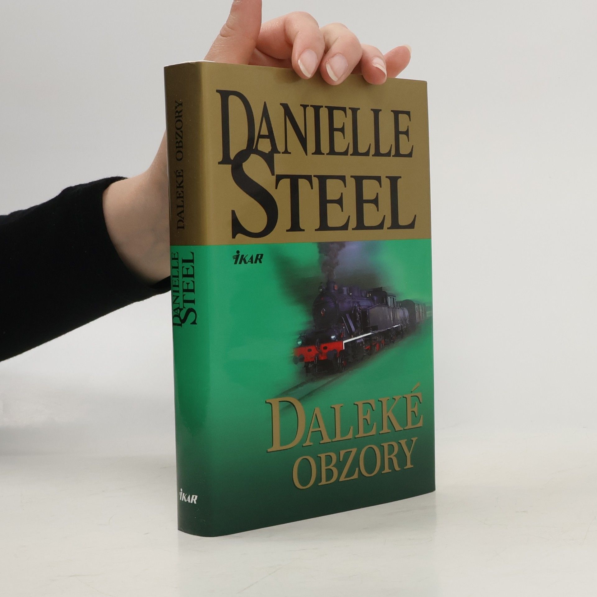 Danielle Steel Daleké obzory