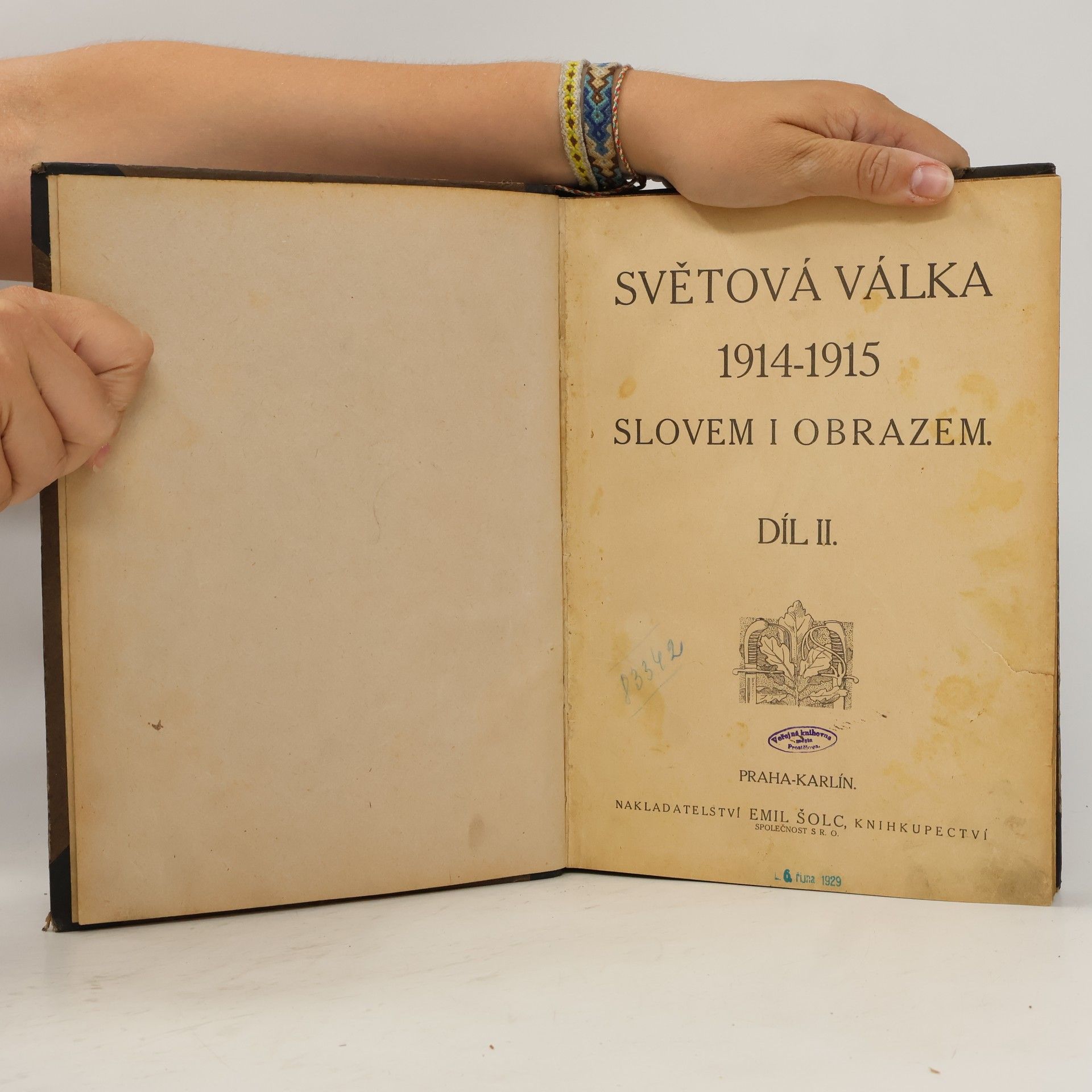 Kolektiv autorů Světová válka 1914-1915 slovem i obrazem II.