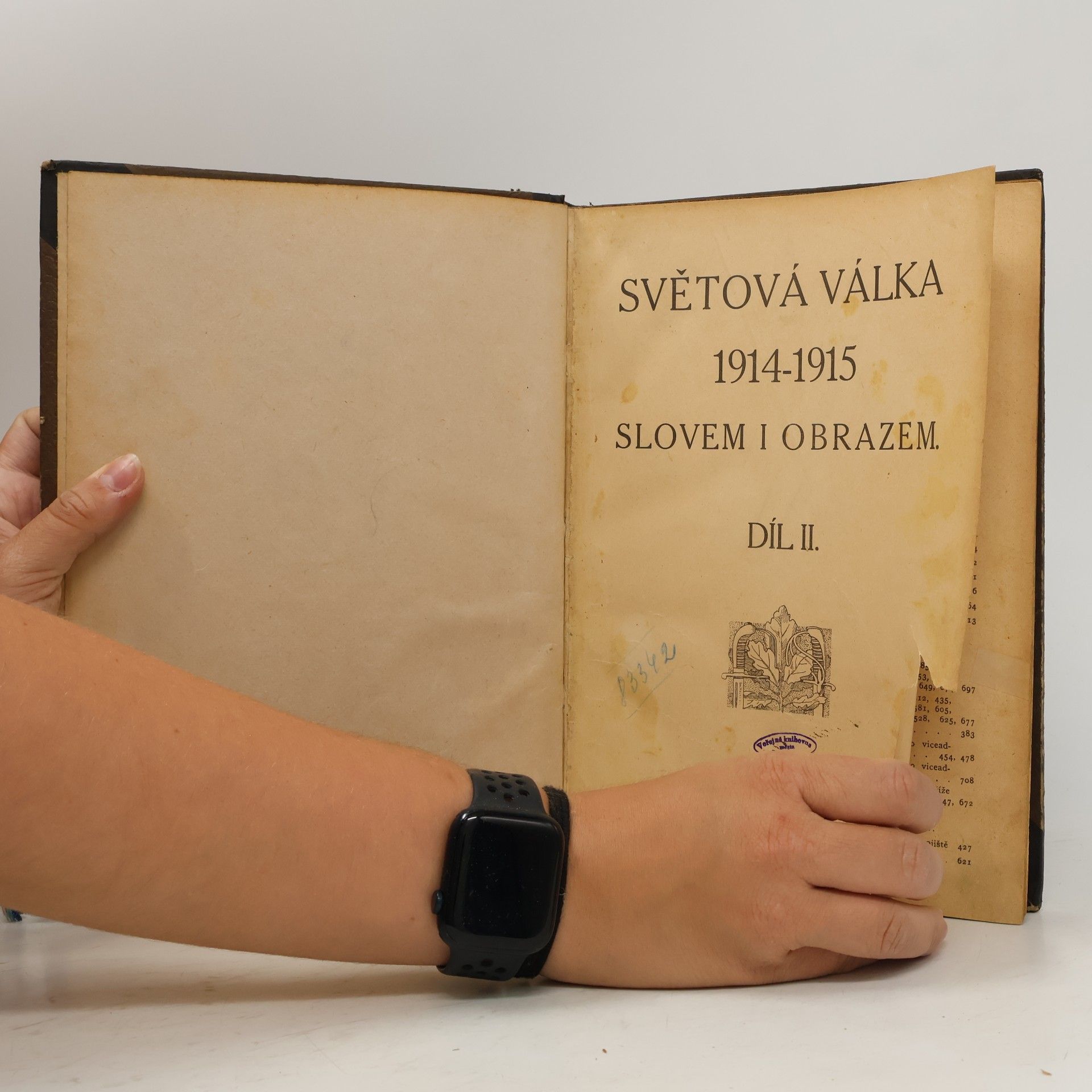 Kolektiv autorů Světová válka 1914-1915 slovem i obrazem II.