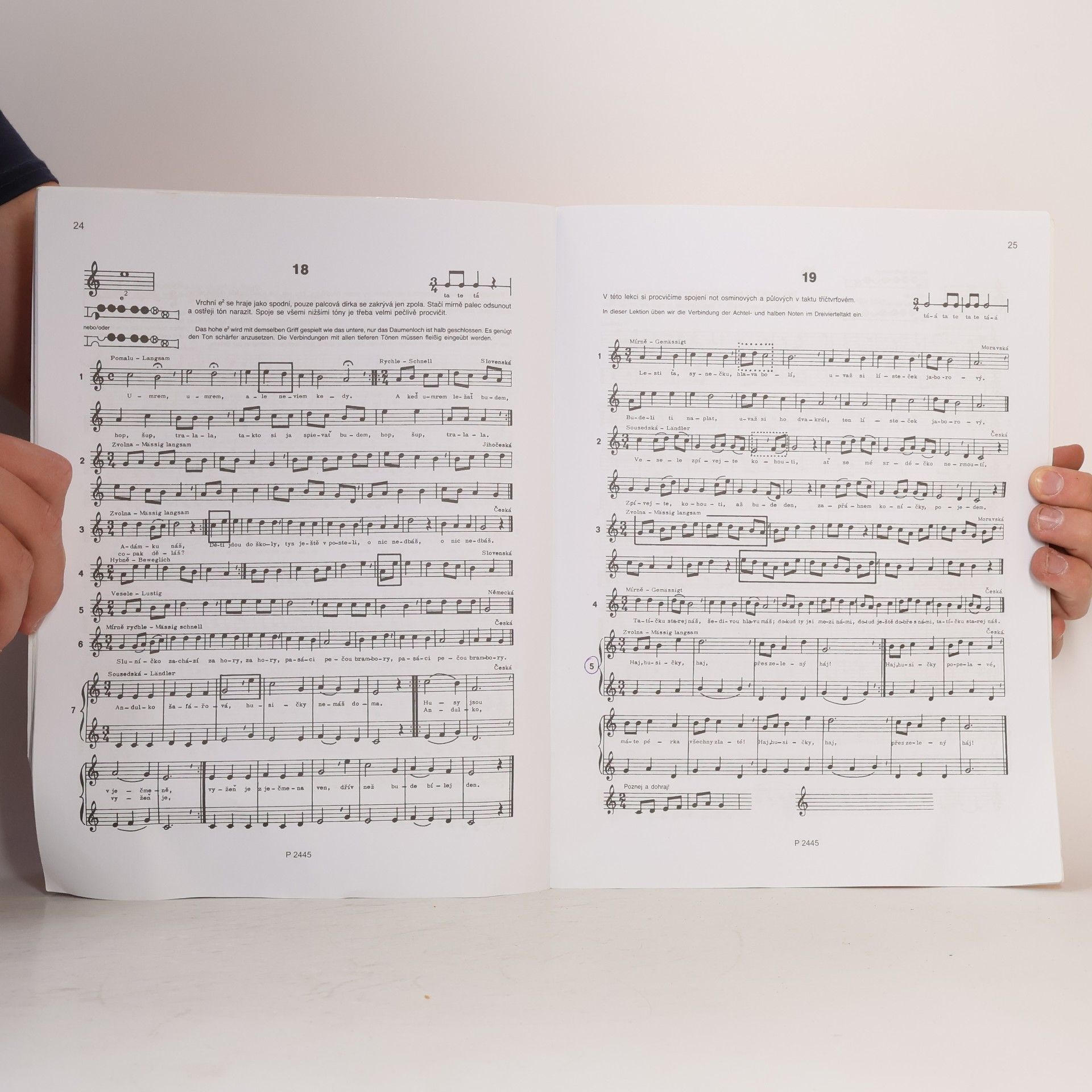 Schott Music Panton Škola hry na sopránovou zobcovou flétnu