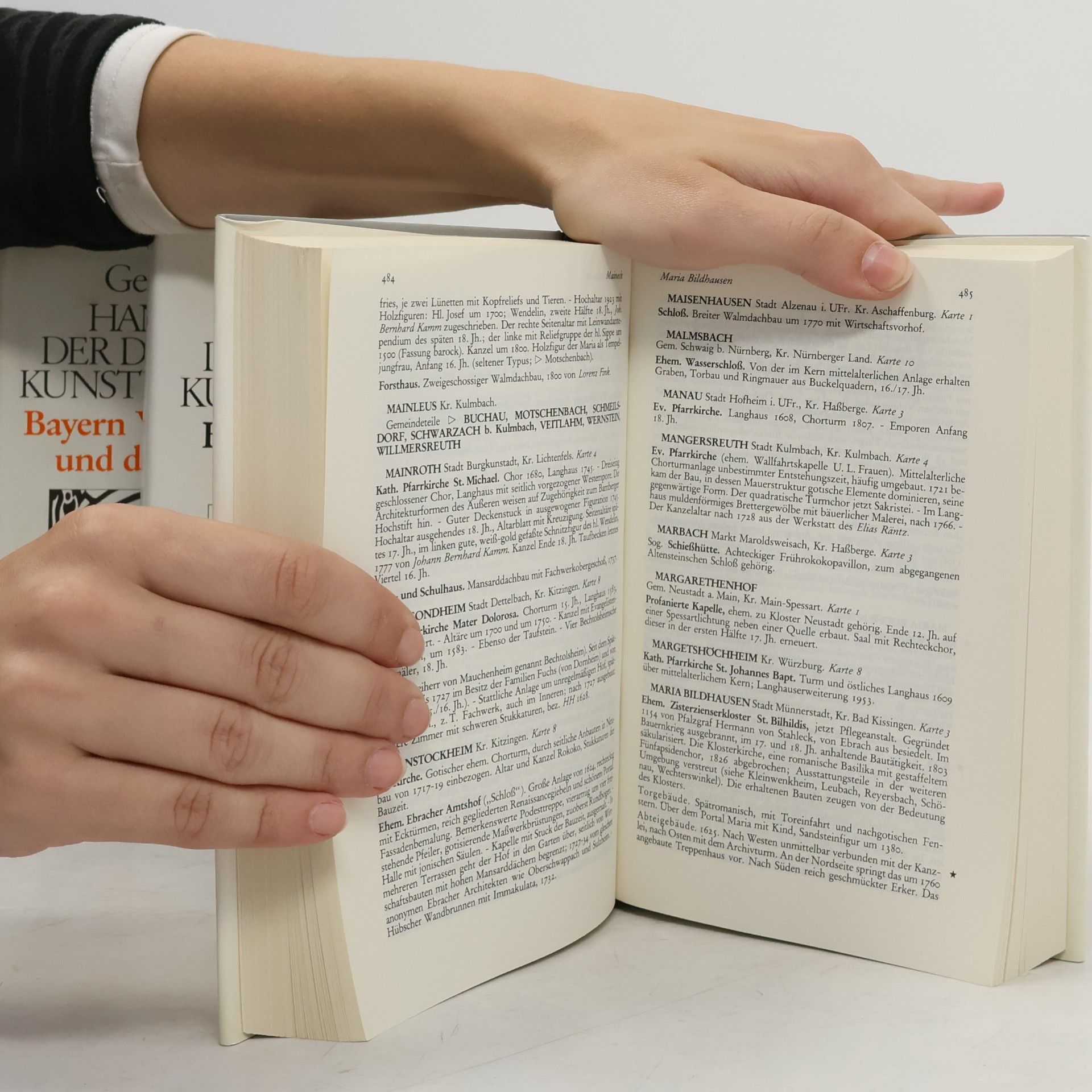Georg Dehio Handbuch der deutschen Kunstdenkmäler I.-IV.