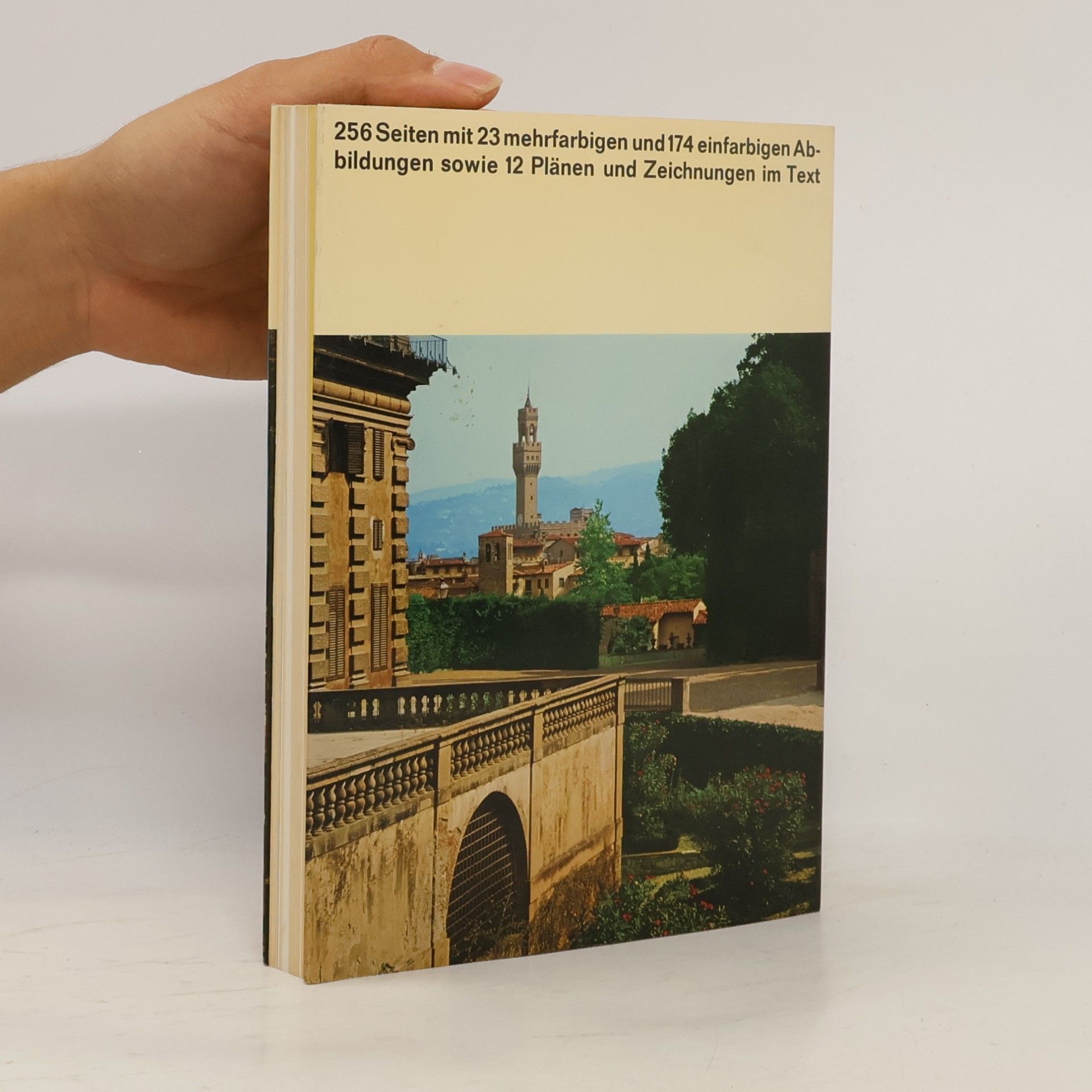 My Heilmann Florenz und die Medici