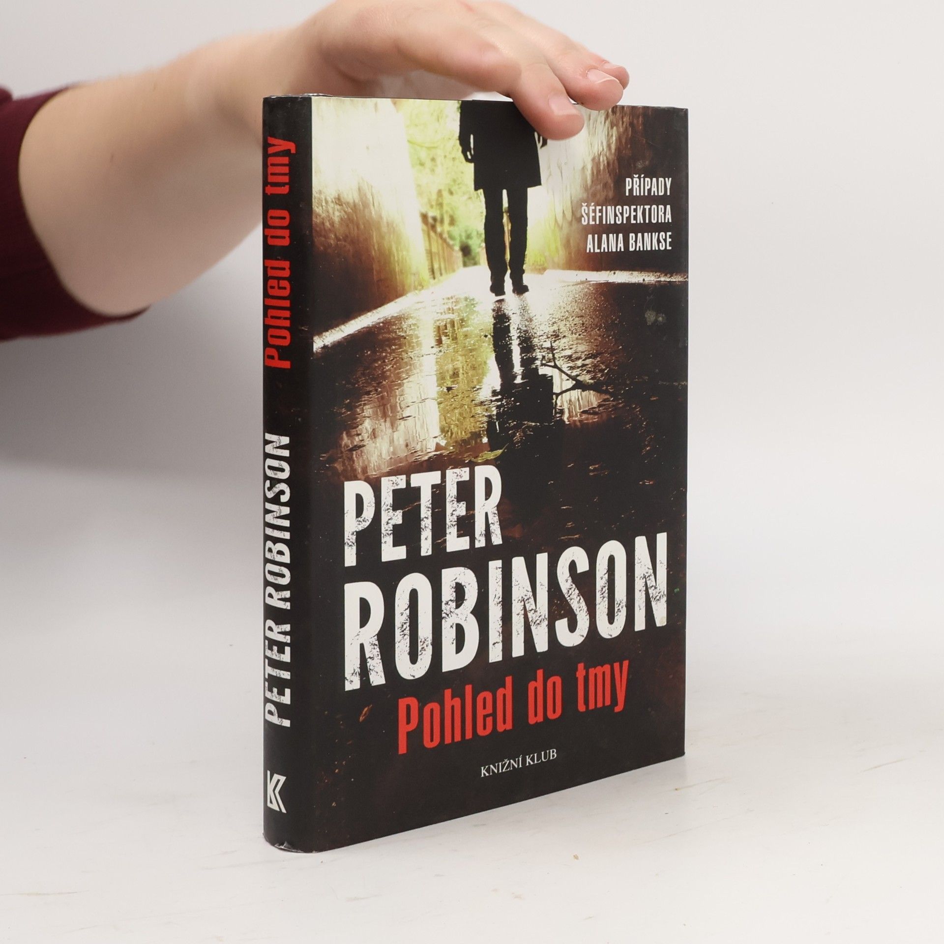 Peter Robinson Pohled do tmy