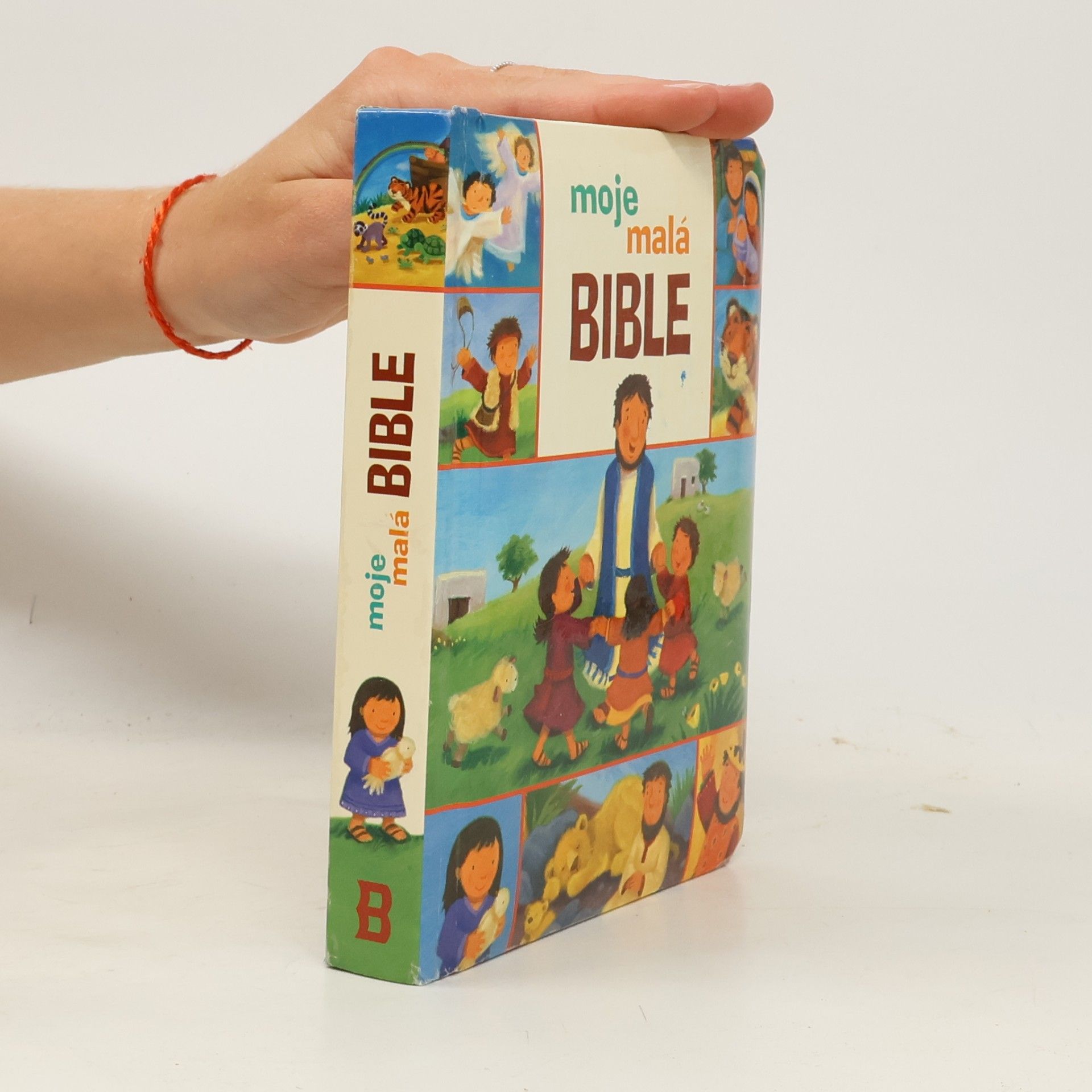 Christina Goodings Moje malá bible