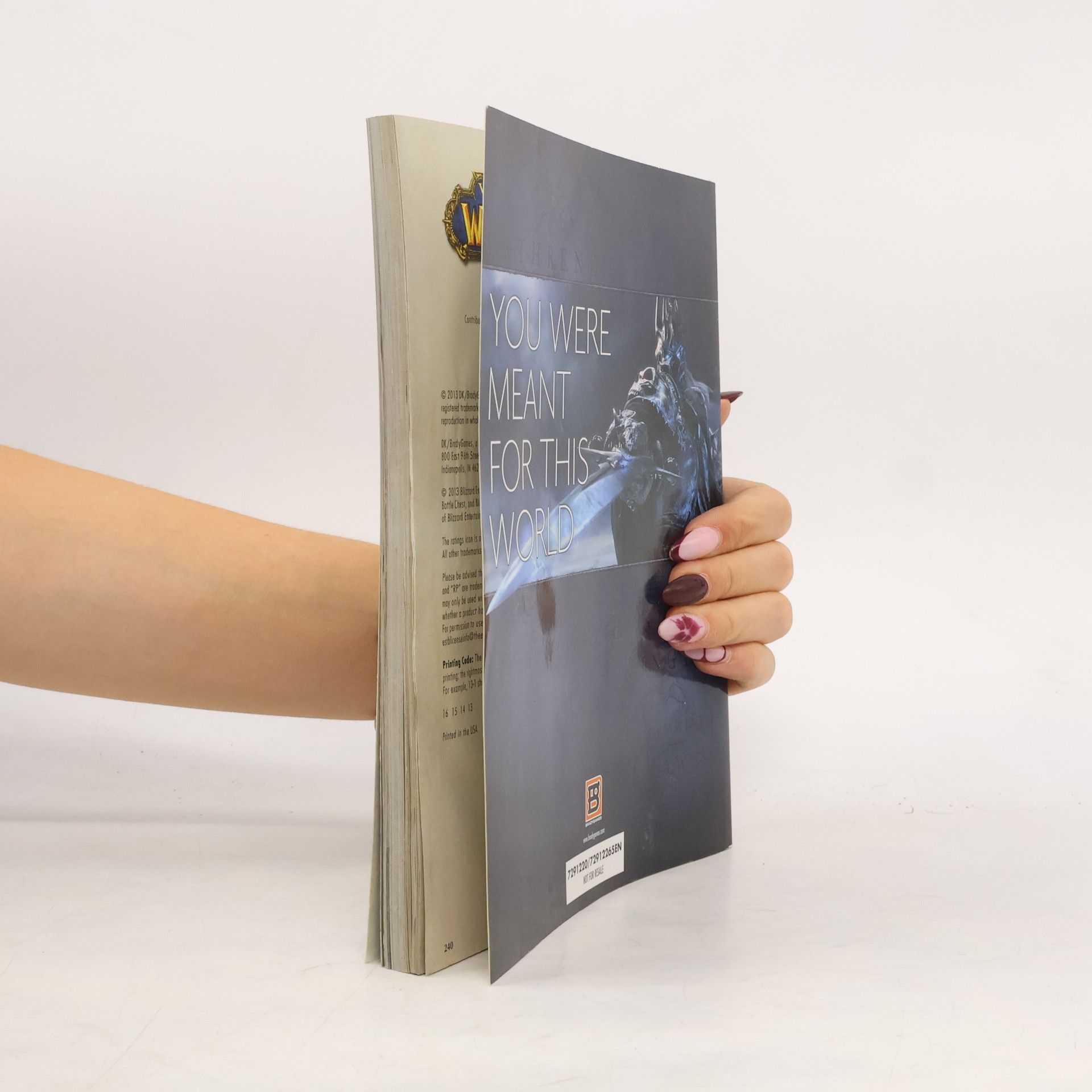 Autorenkollektiv World of Warcraft. Official Beginner's Guide