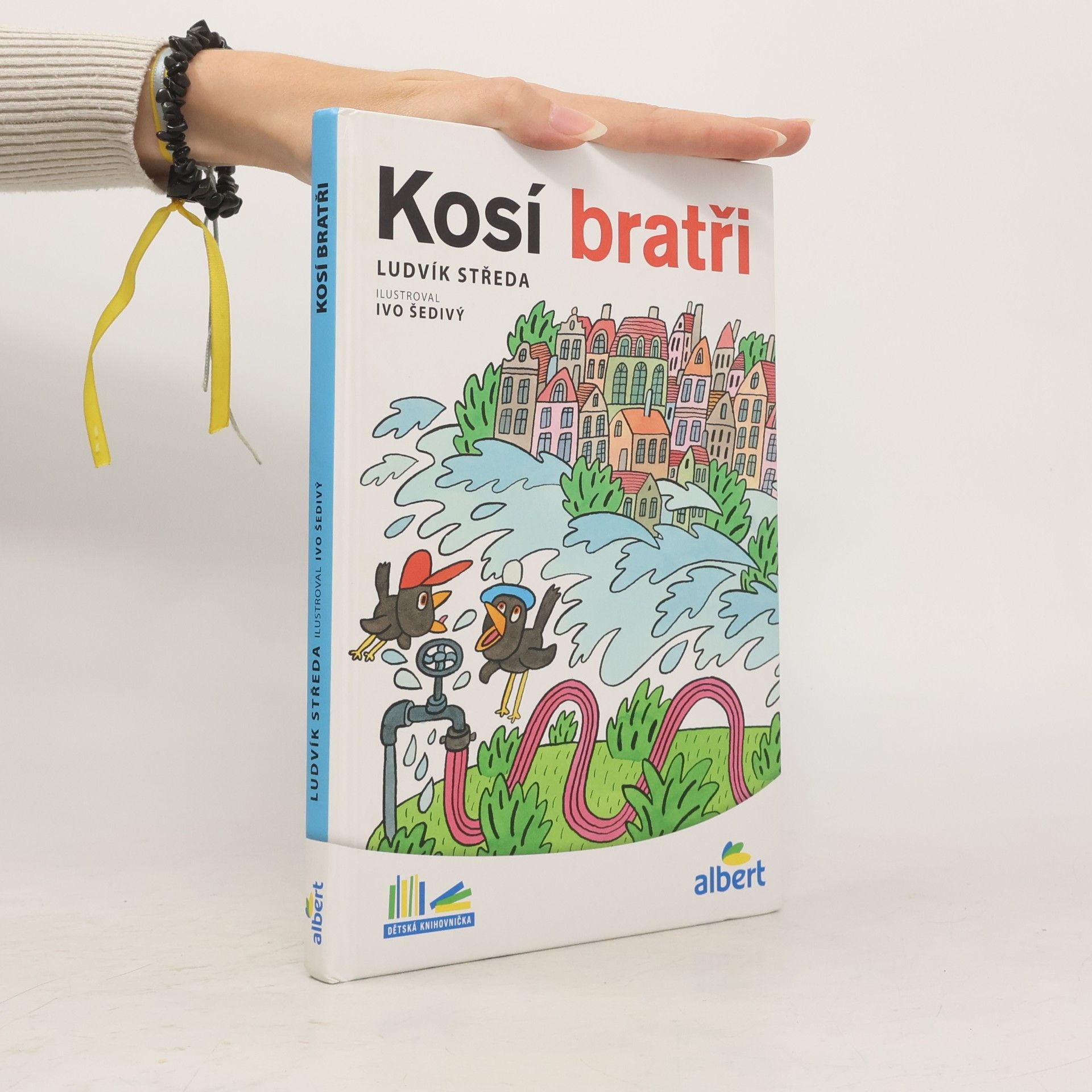 Ludvík Středa Kosí bratři