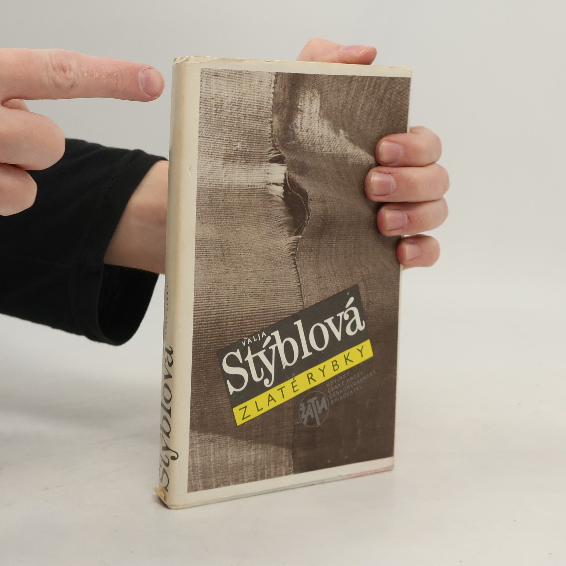 Valja Stýblová Zlaté rybky