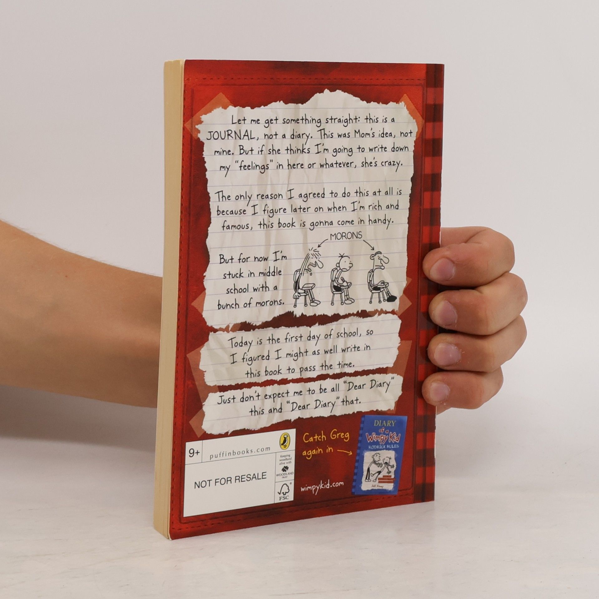 Jeff Kinney Diary of a Wimpy Kid 1