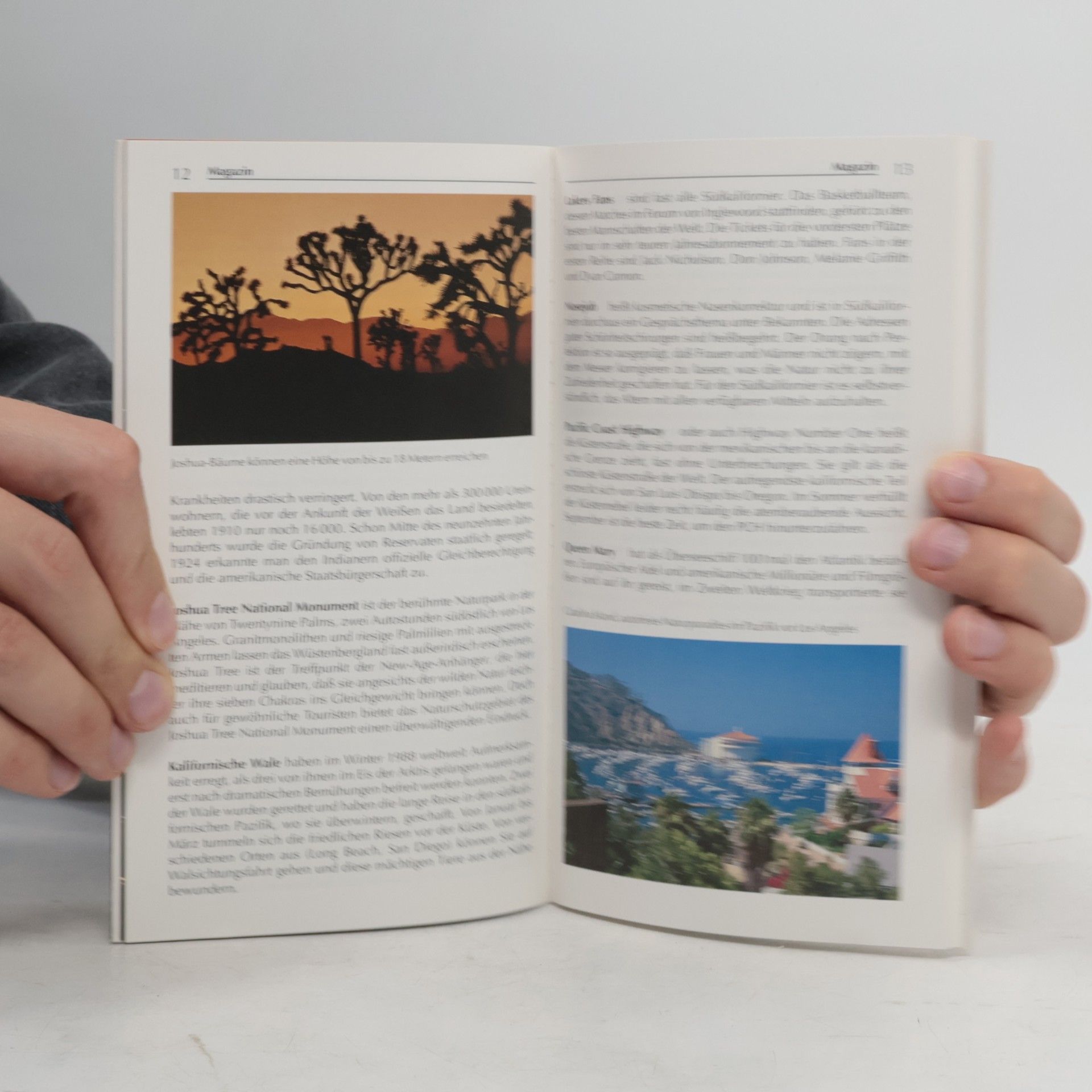 Marion Renk-Richardsen Merian Super Reisen: Kalifornien, der Süden - Aktualisierte Neuauflage - farbig und informativ