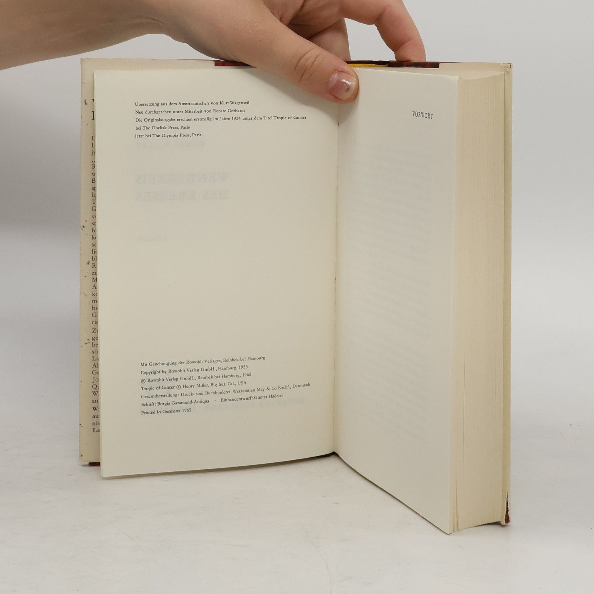 Henry Miller Wendekreis des Krebses