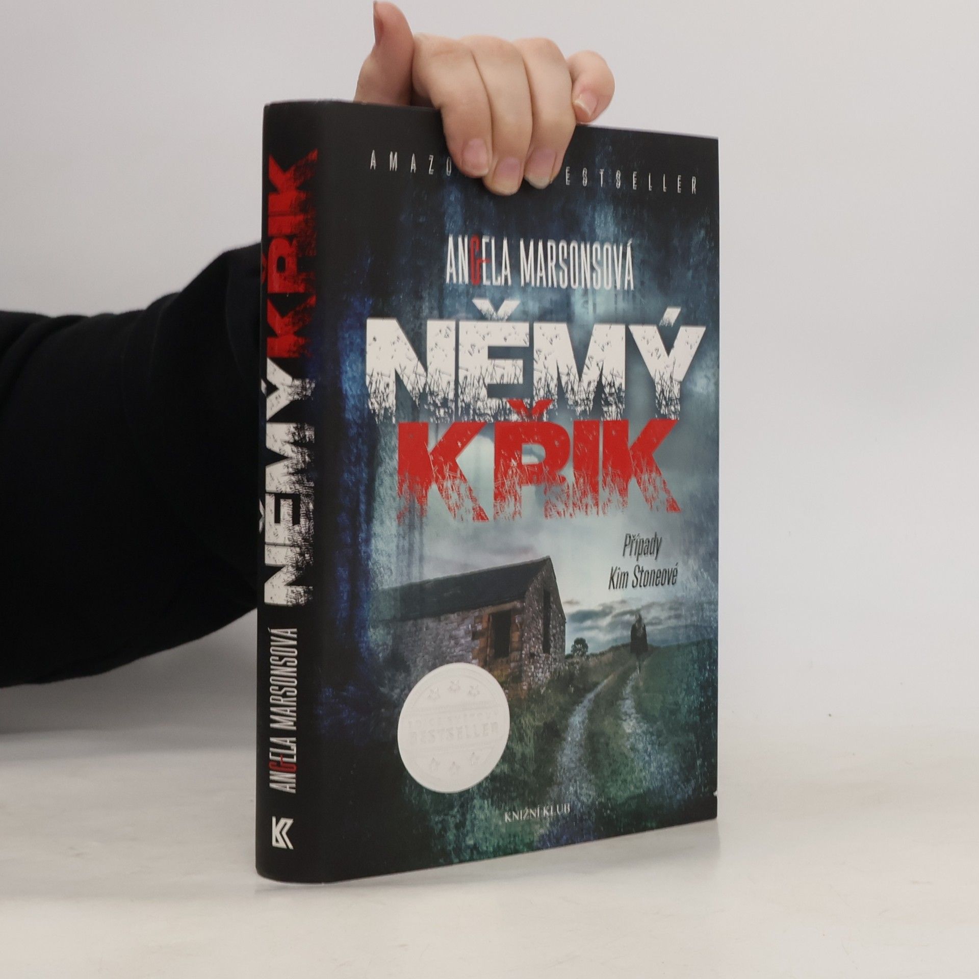 Angela Marsons Němý křik
