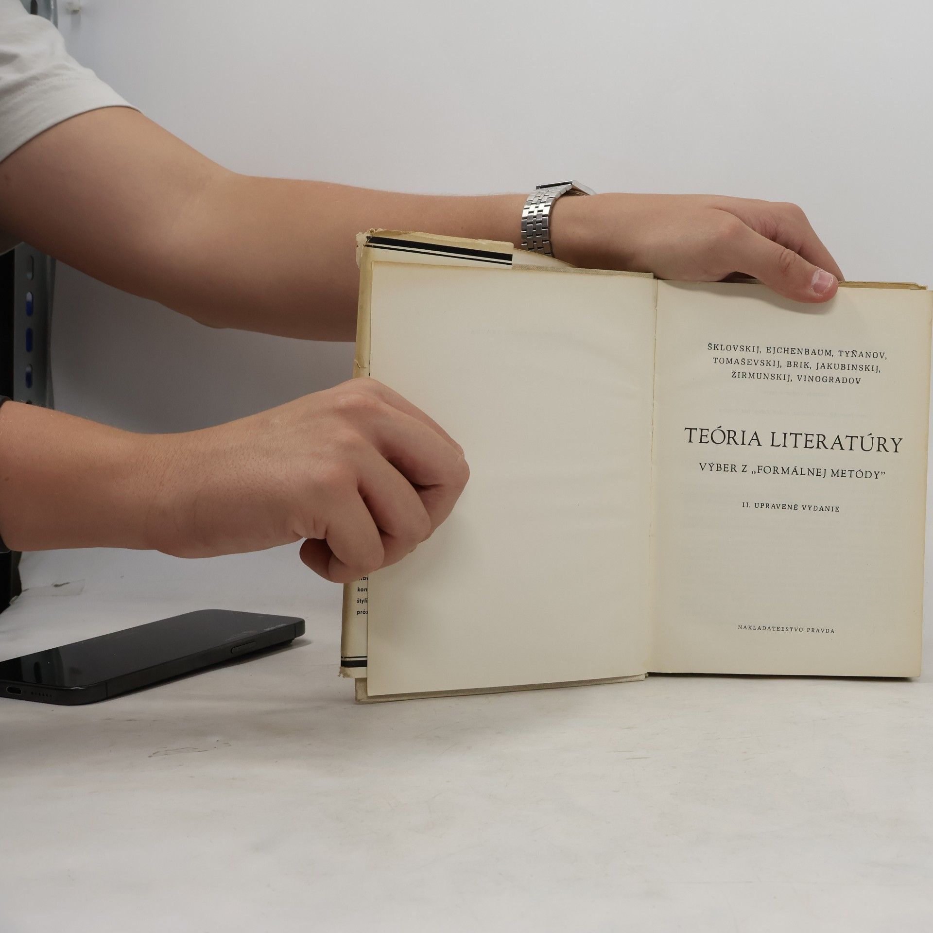 Auteurscollectief Teoria literatúry