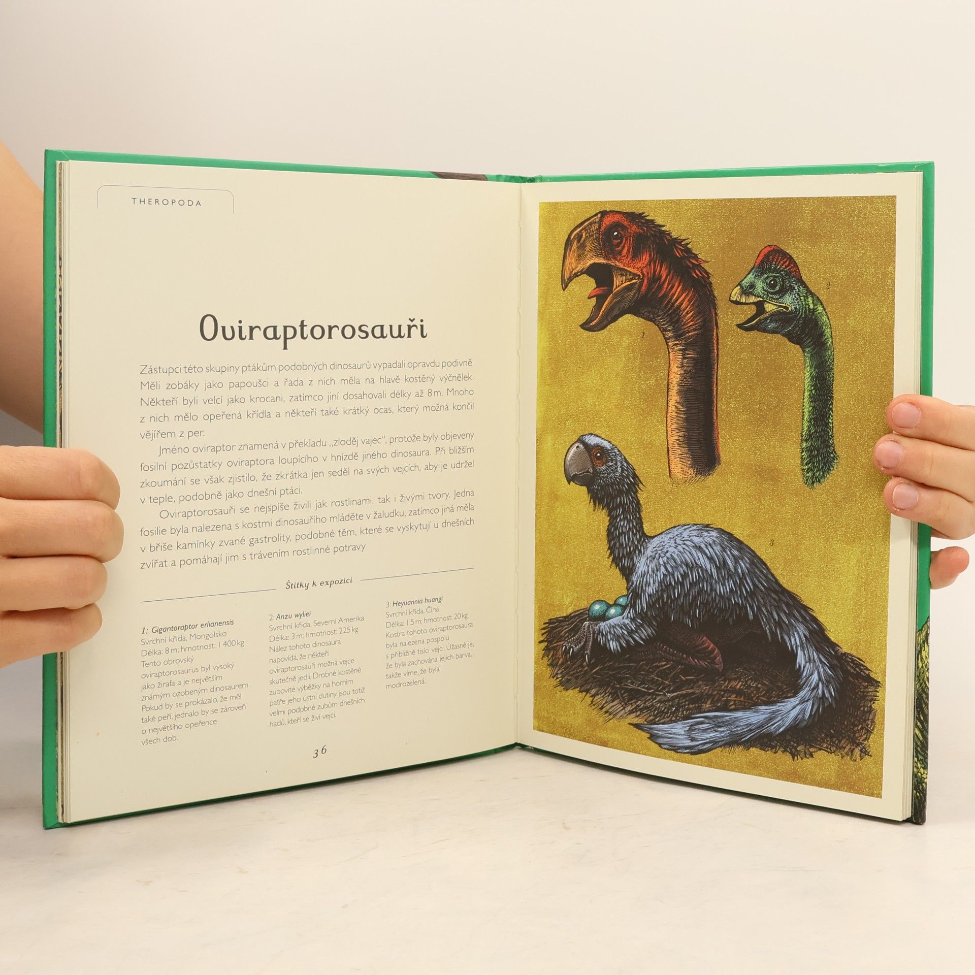 Lily Murray Dinosaurium - pro mladší čtenáře