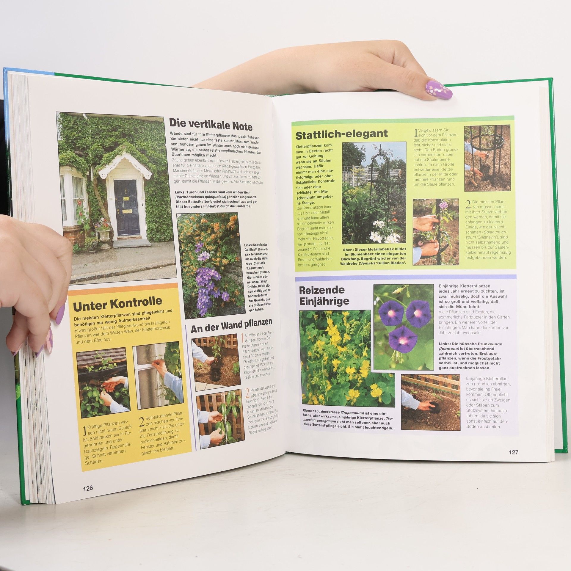 Das grosse Buch der Gartengestaltung