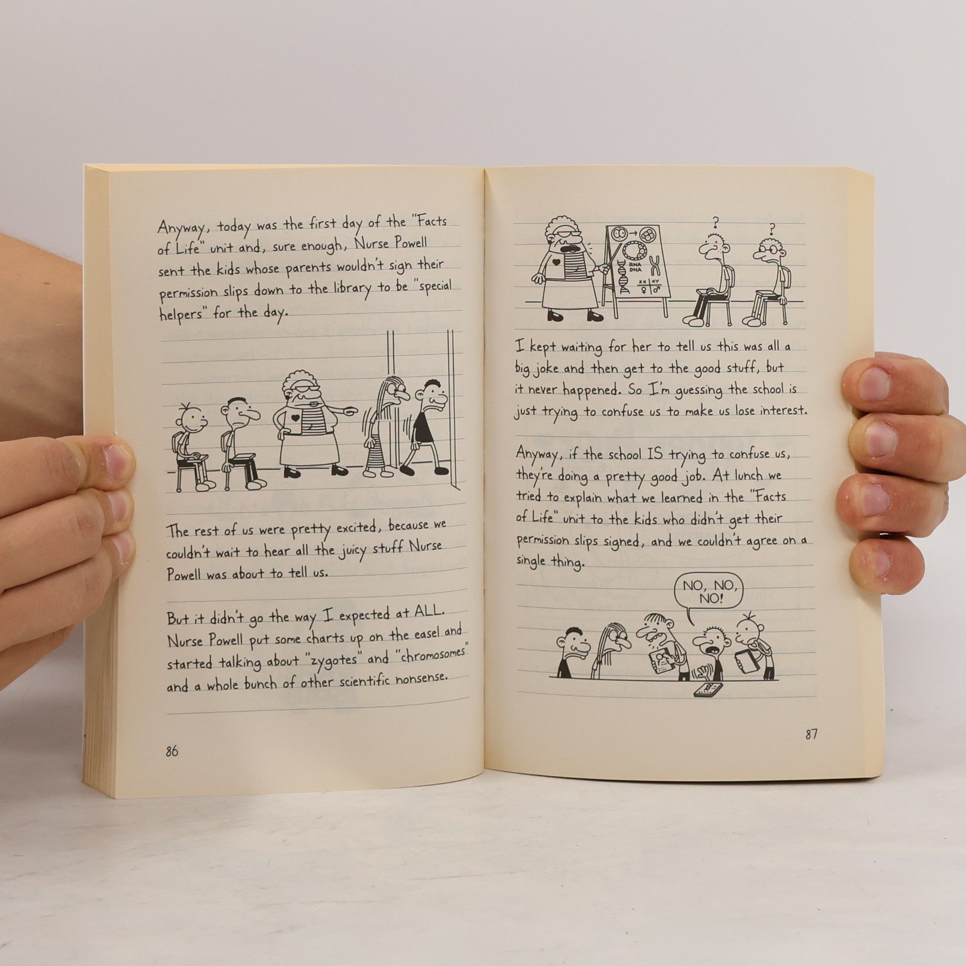 Jeff Kinney Diary of a Wimpy Kid. The Ugly Truth