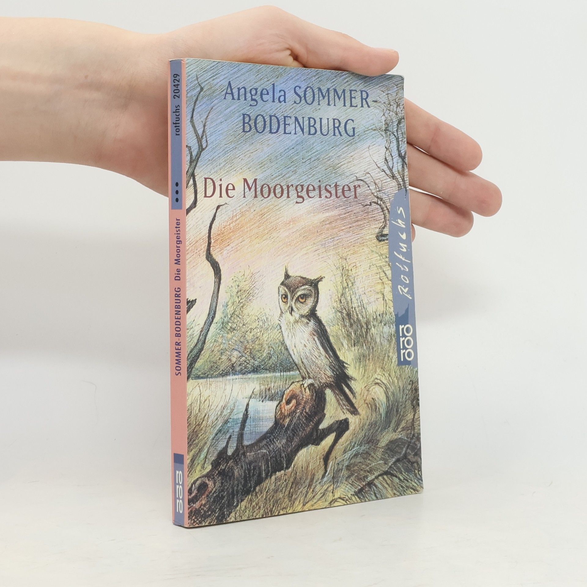 Angela Sommer Bodenburg Die Moorgeister