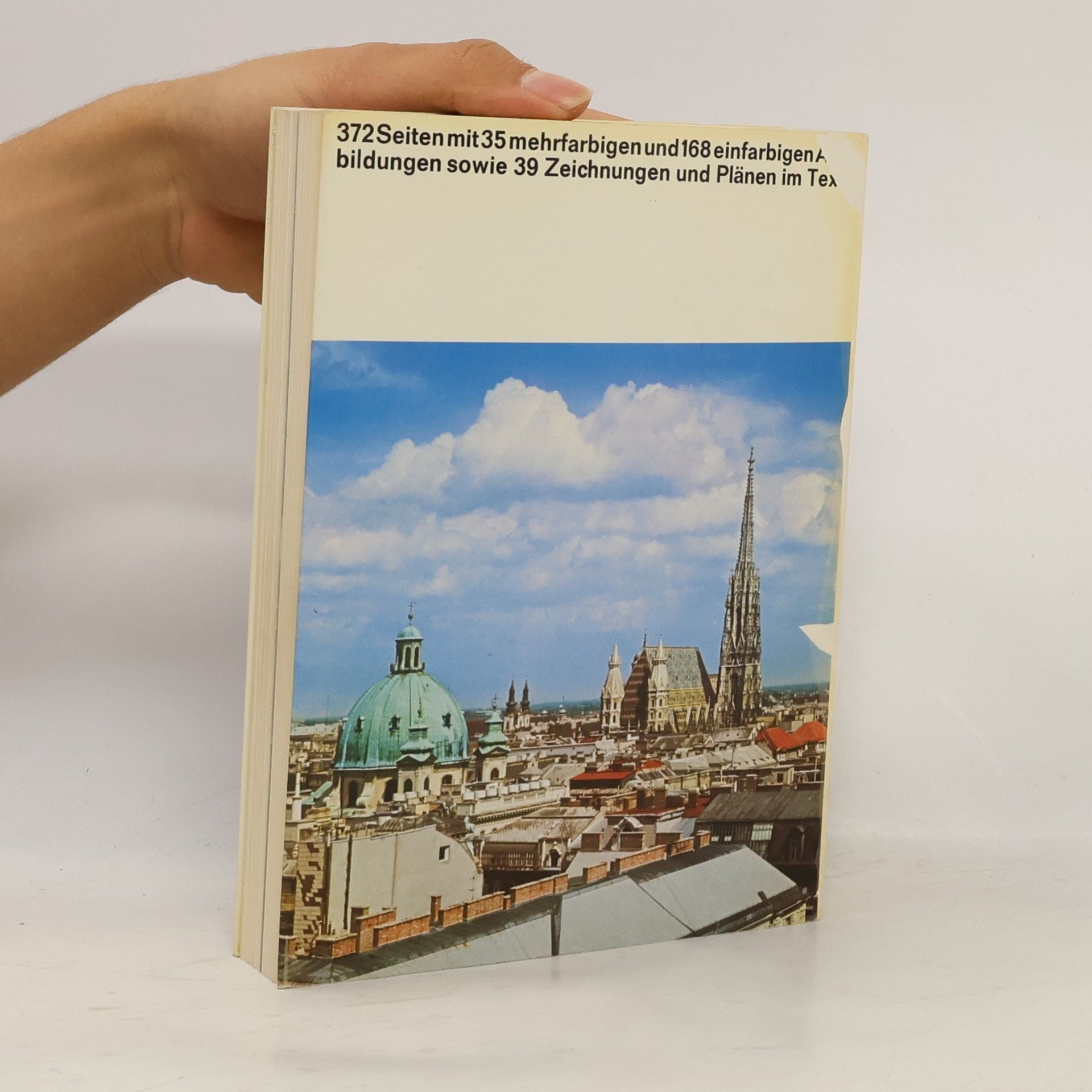 Felix Czeike Wien und Umgebung. Kunst, Kultur und Geschichte der Donaumetropole