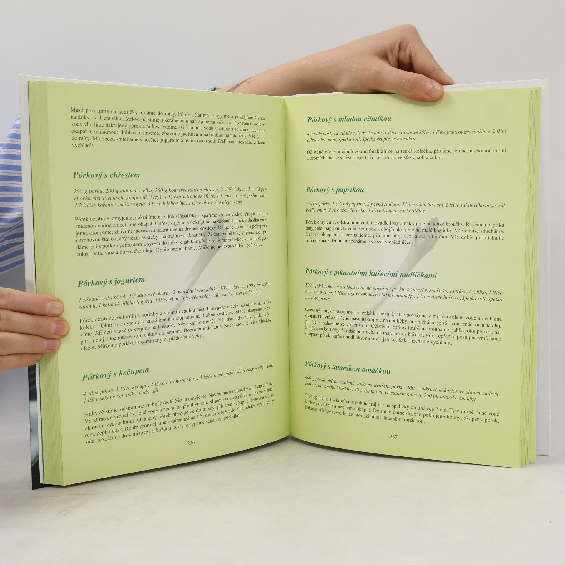Autores varios Zlatá kniha salátů
