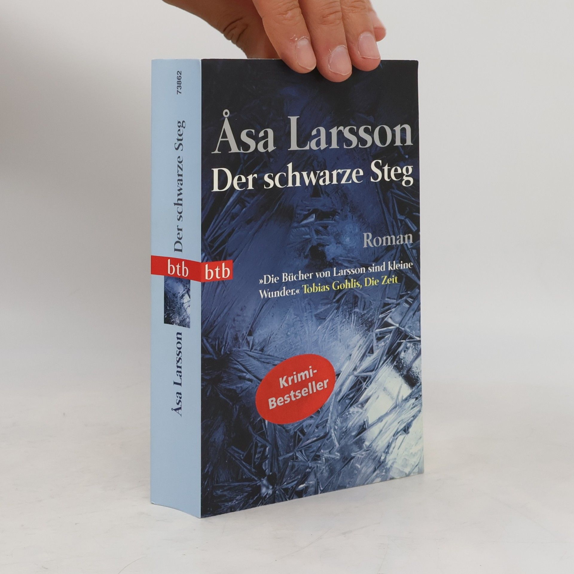 Åsa Larsson Der schwarze Steg