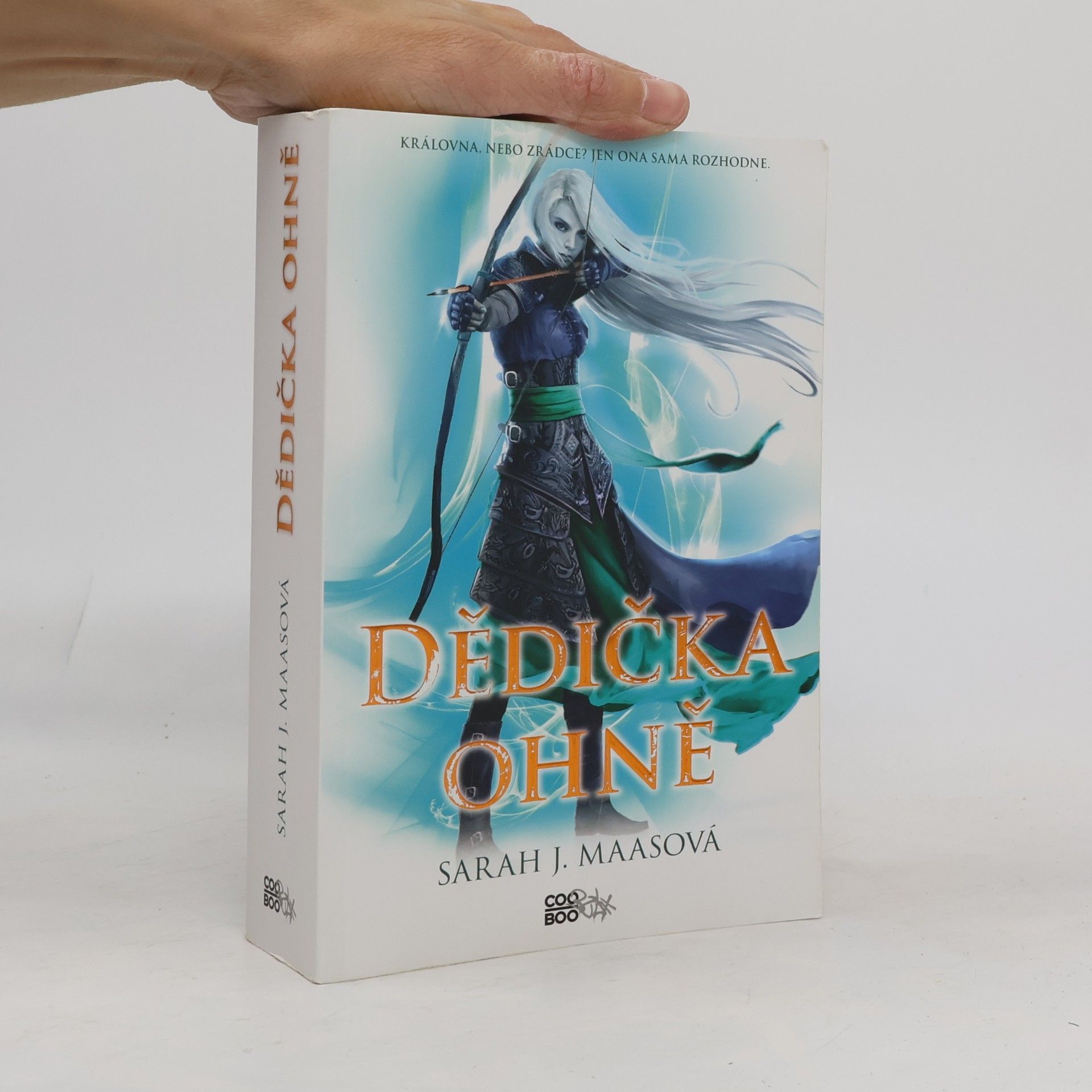 Sarah J. Maas Dědička ohně