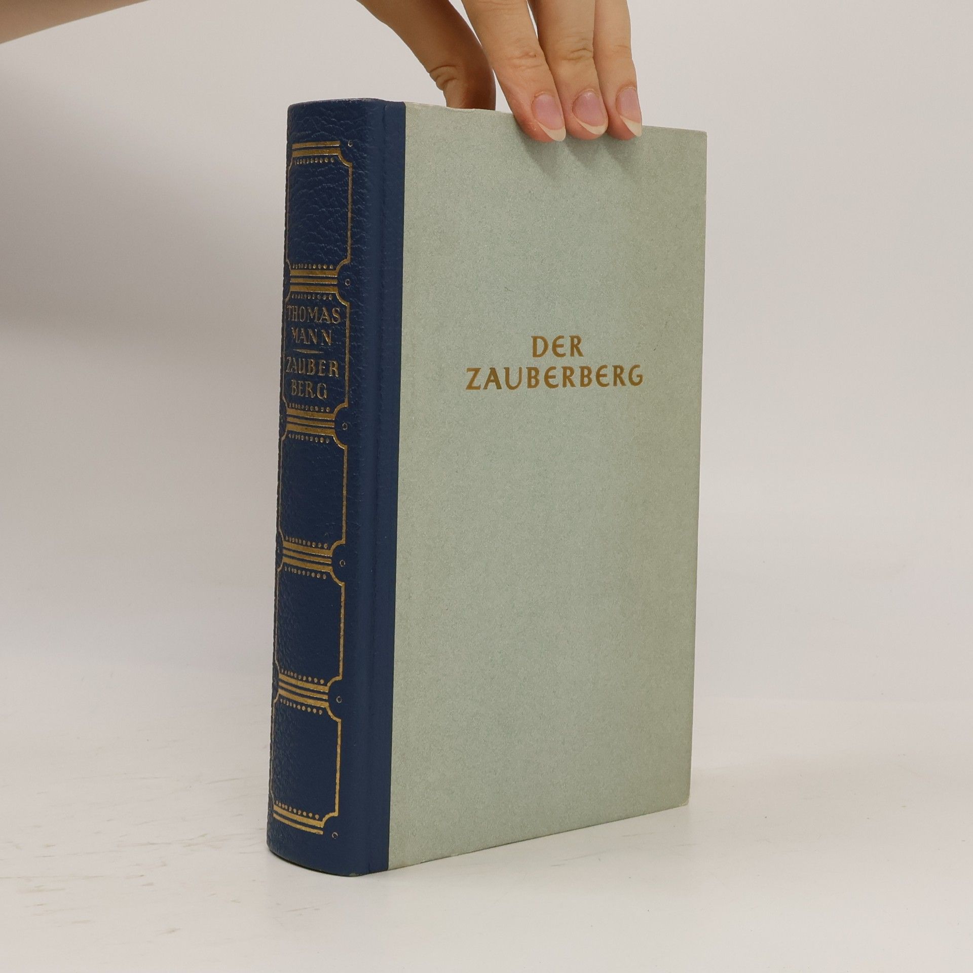 Thomas Mann Der Zauberberg