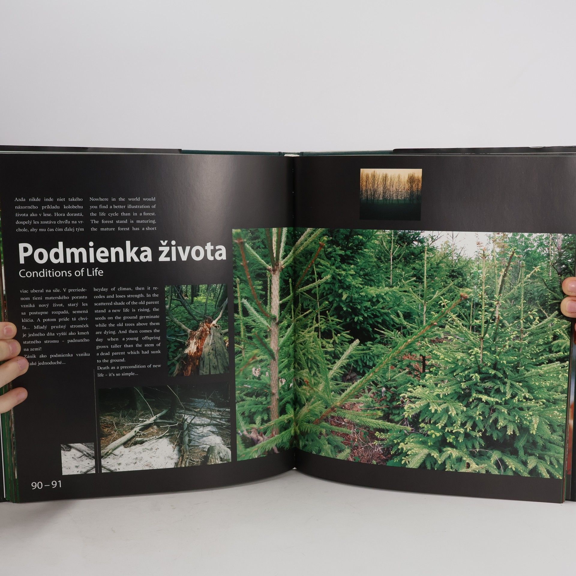 Ján Mičovský Lesy a ľudia = Forests and people