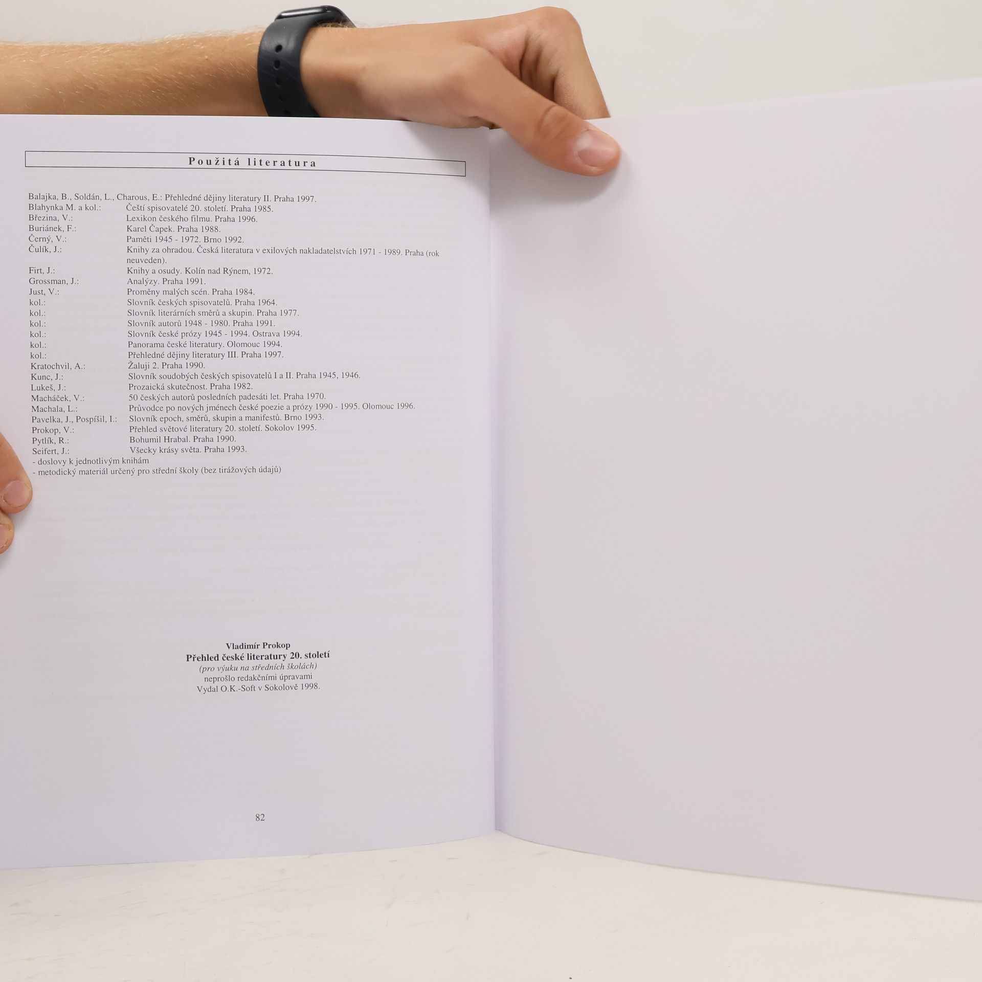 Vladimír Prokop Přehled české literatury 20. století