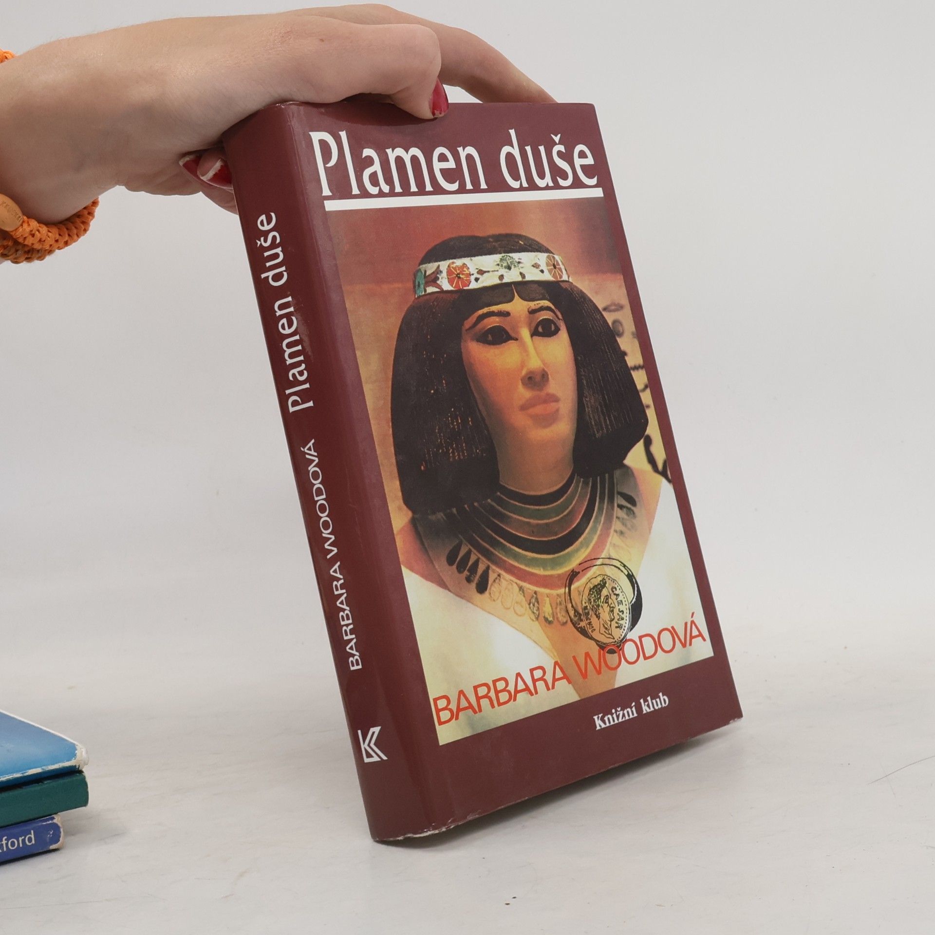 Barbara Wood Plamen duše