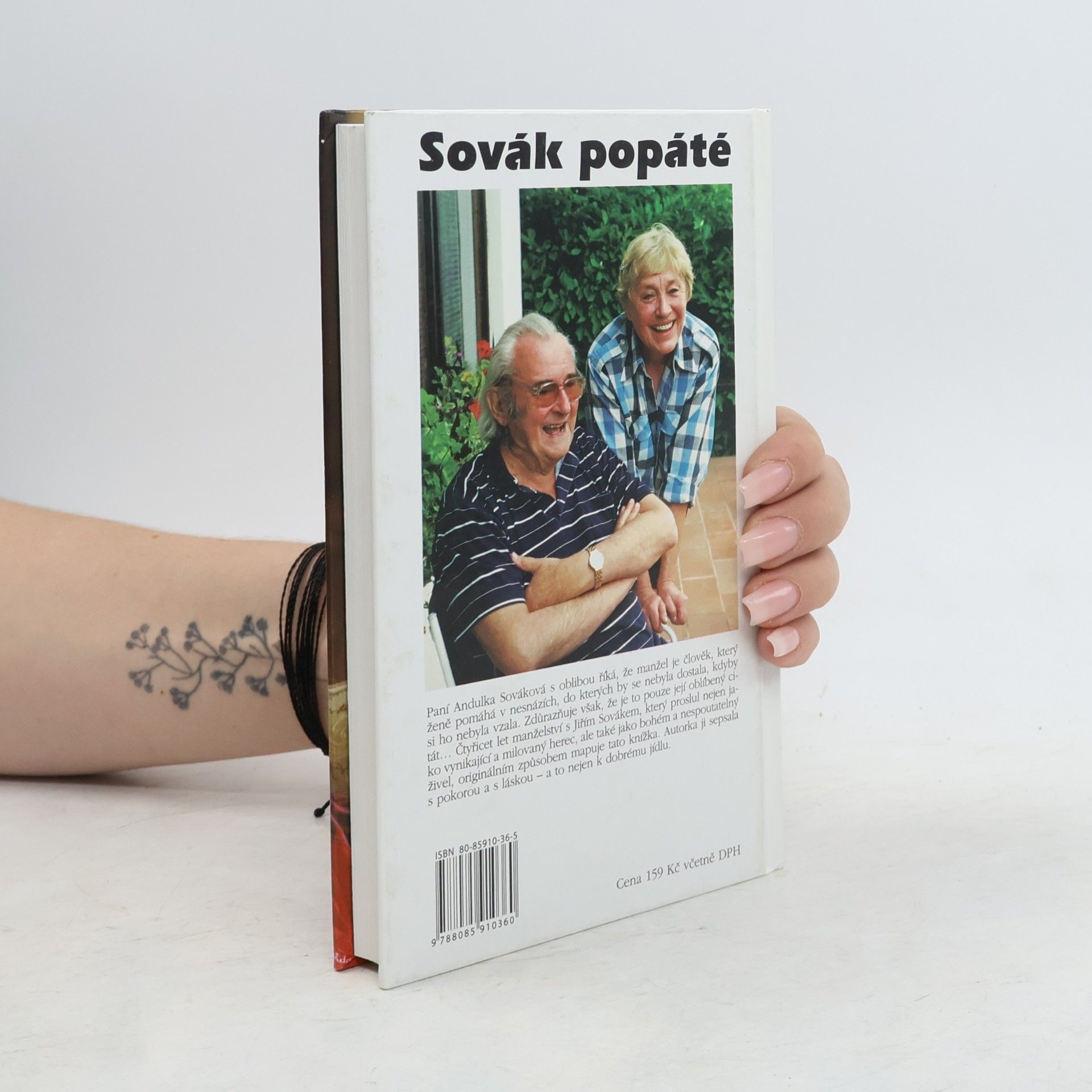 Anna Sováková Sovák popáté. Život se Sovákem, aneb, Uragán