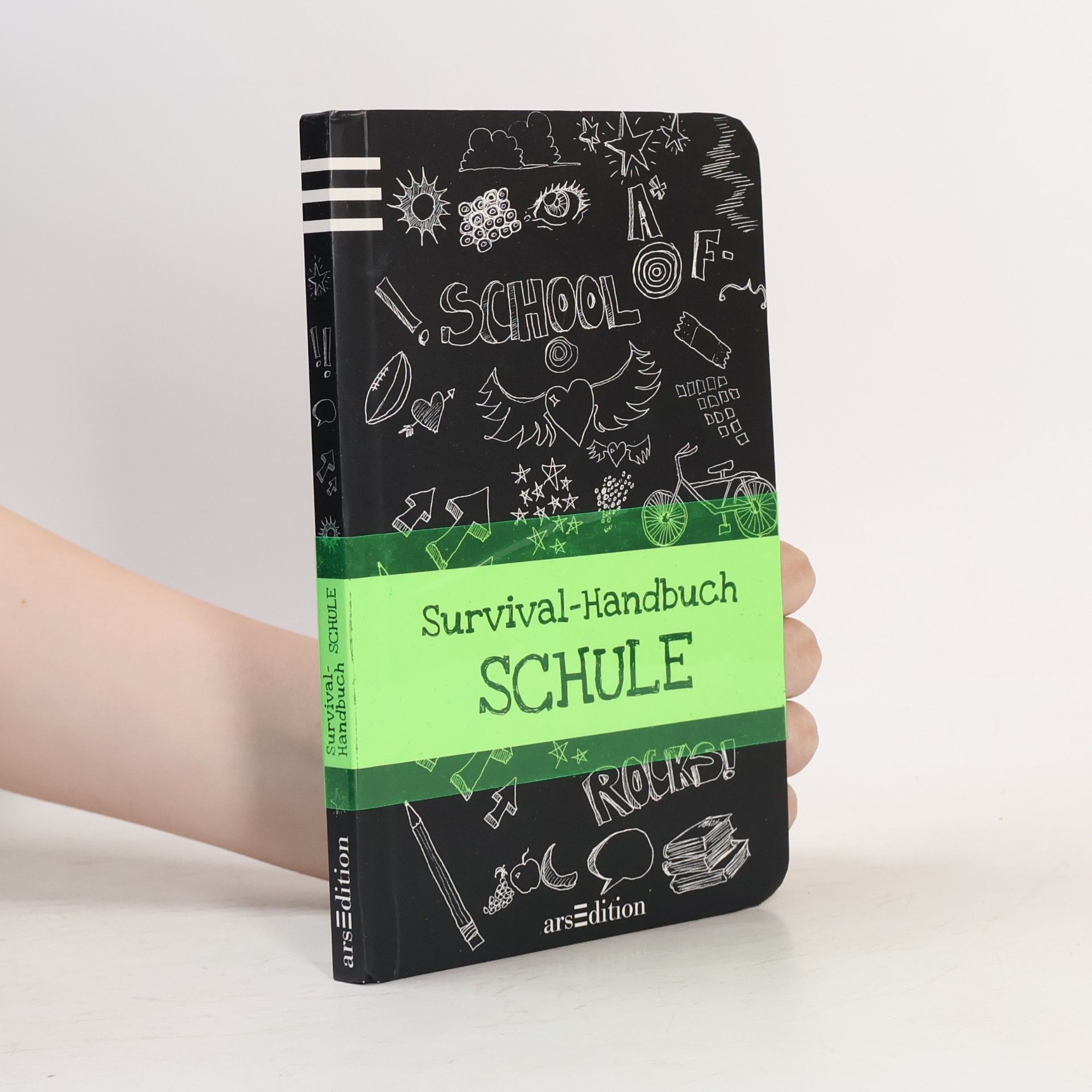 Anita van Saan Survival-Handbuch Schule