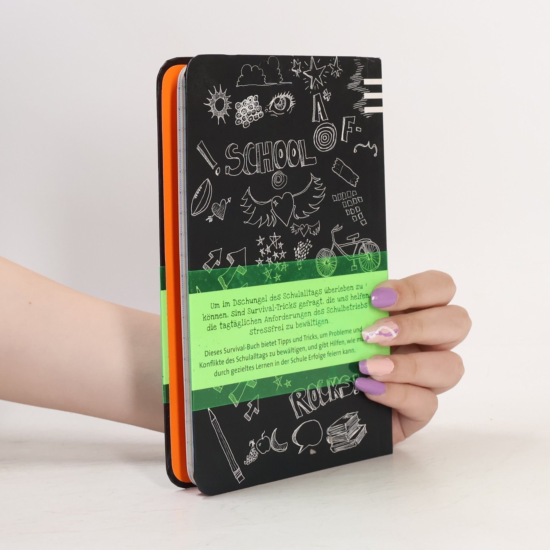 Anita van Saan Survival-Handbuch Schule