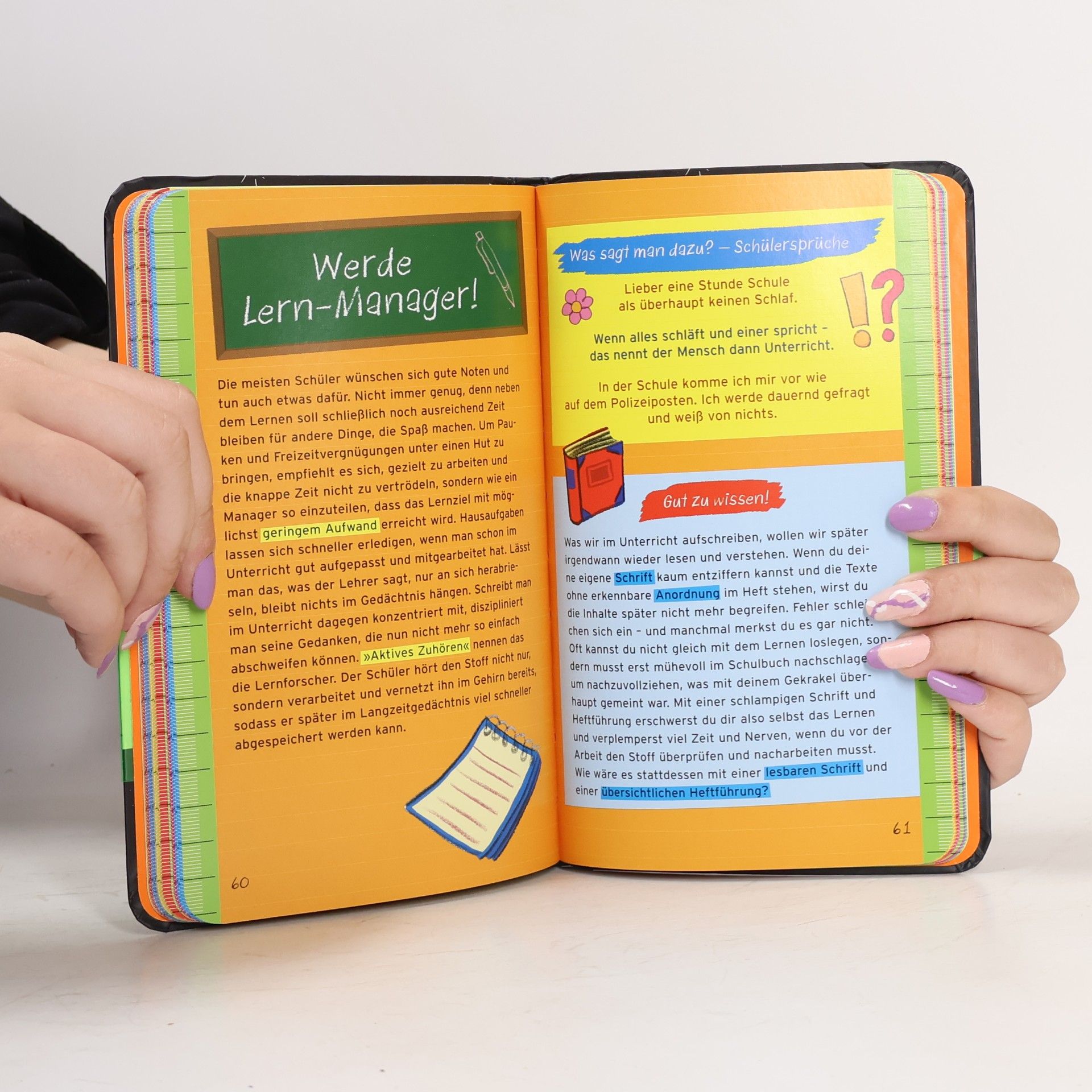 Anita van Saan Survival-Handbuch Schule