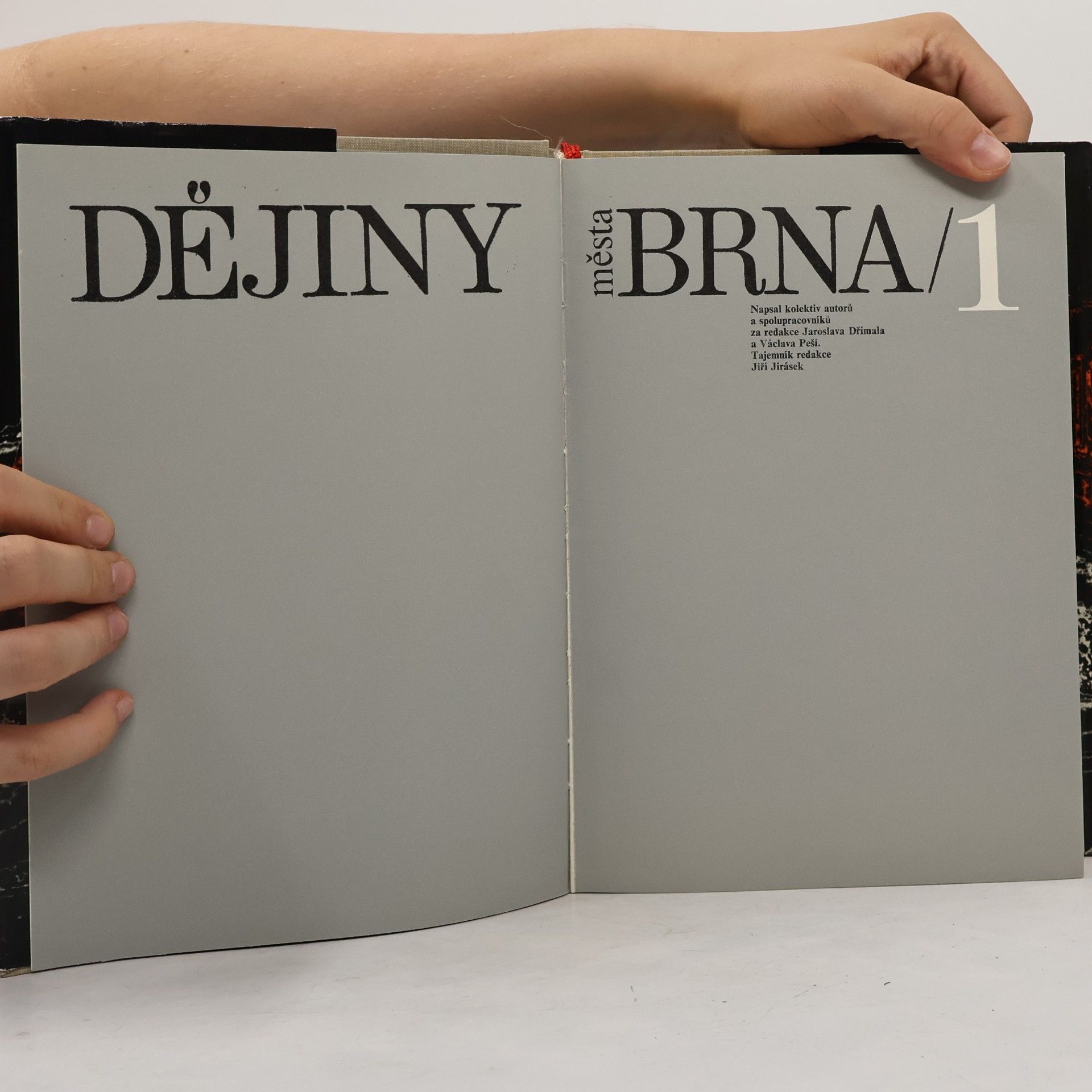 Kolektiv autorů Dějiny města Brna. 1