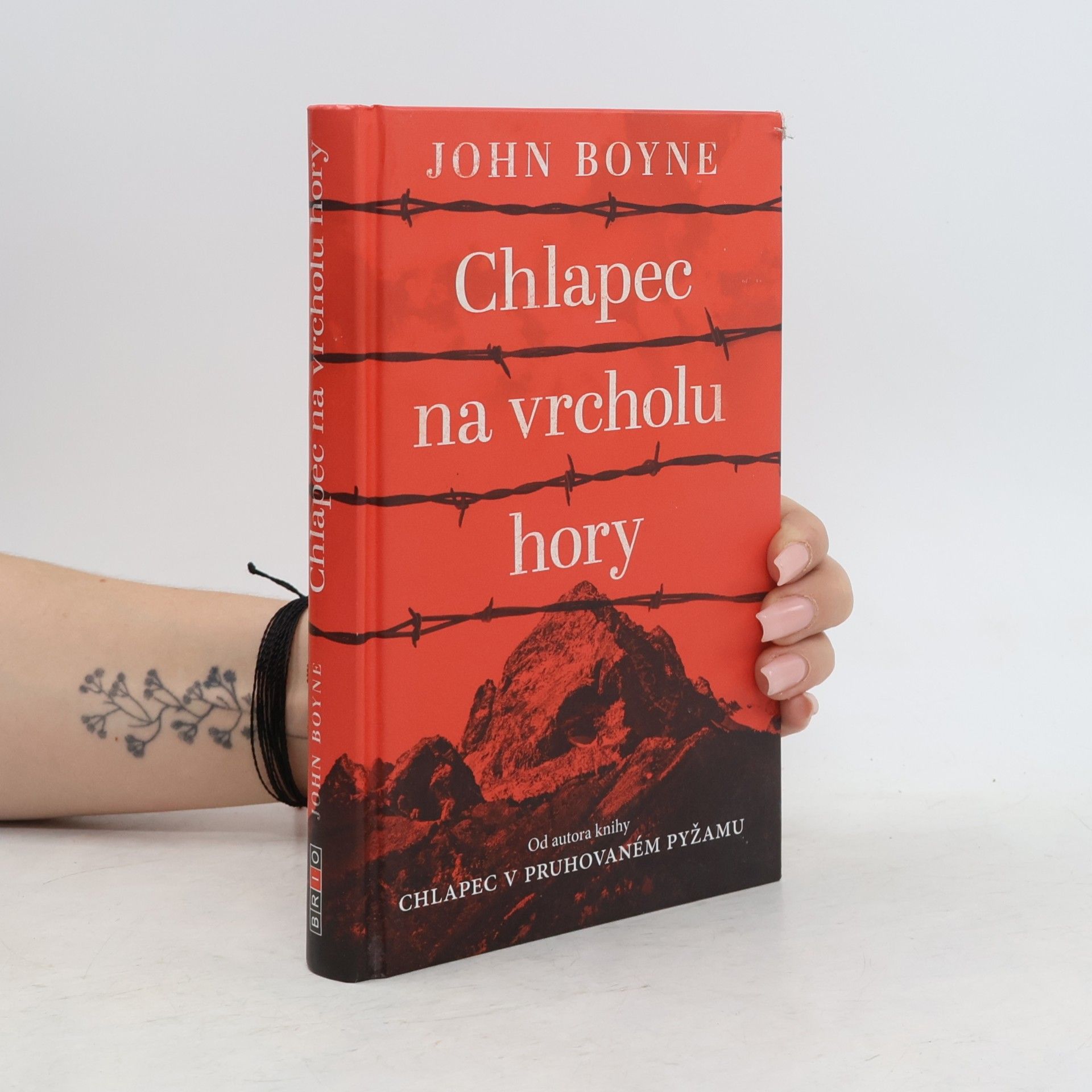 John Boyne Chlapec na vrcholu hory