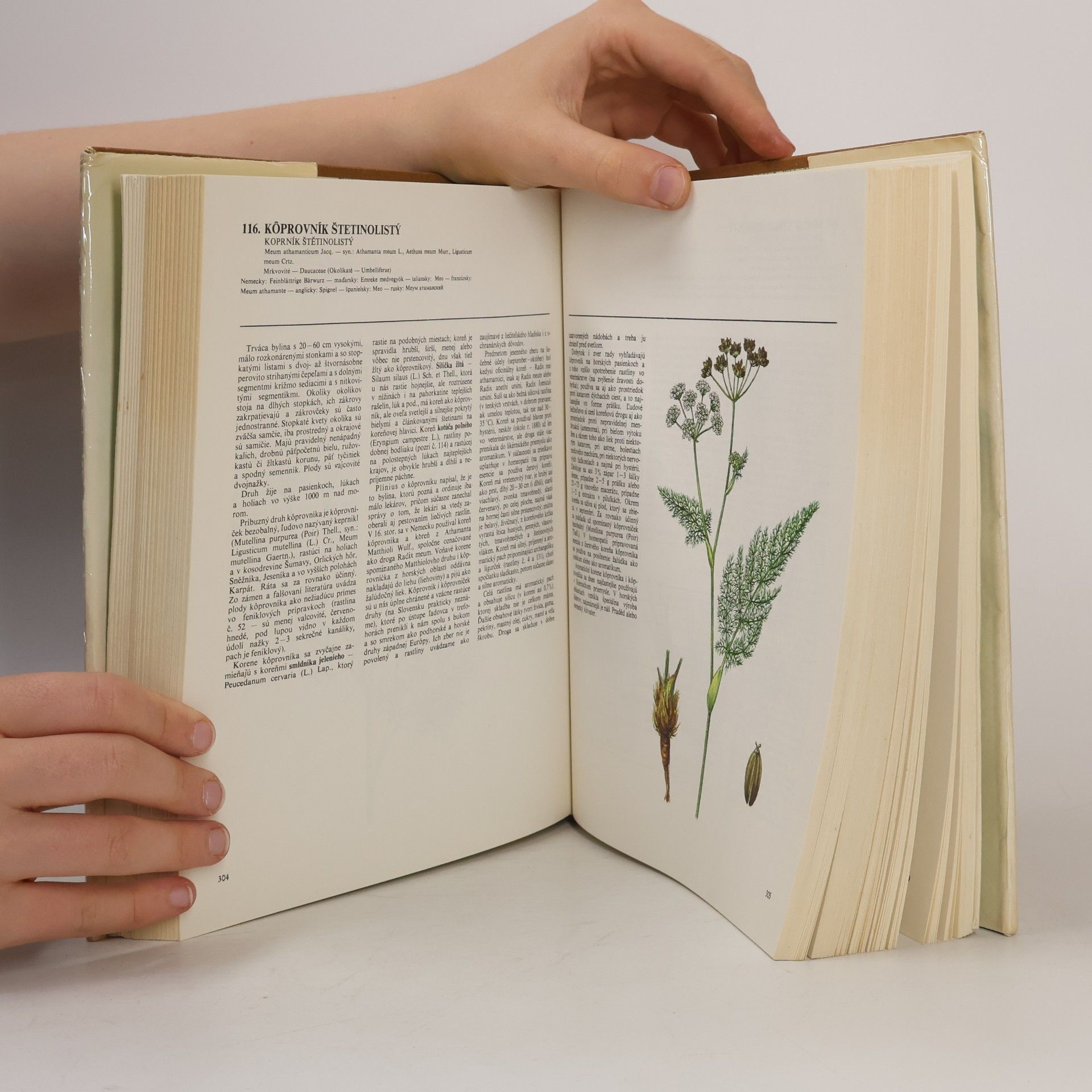 Jindřich Krejča Atlas liečivých rastlín a lesných plodov