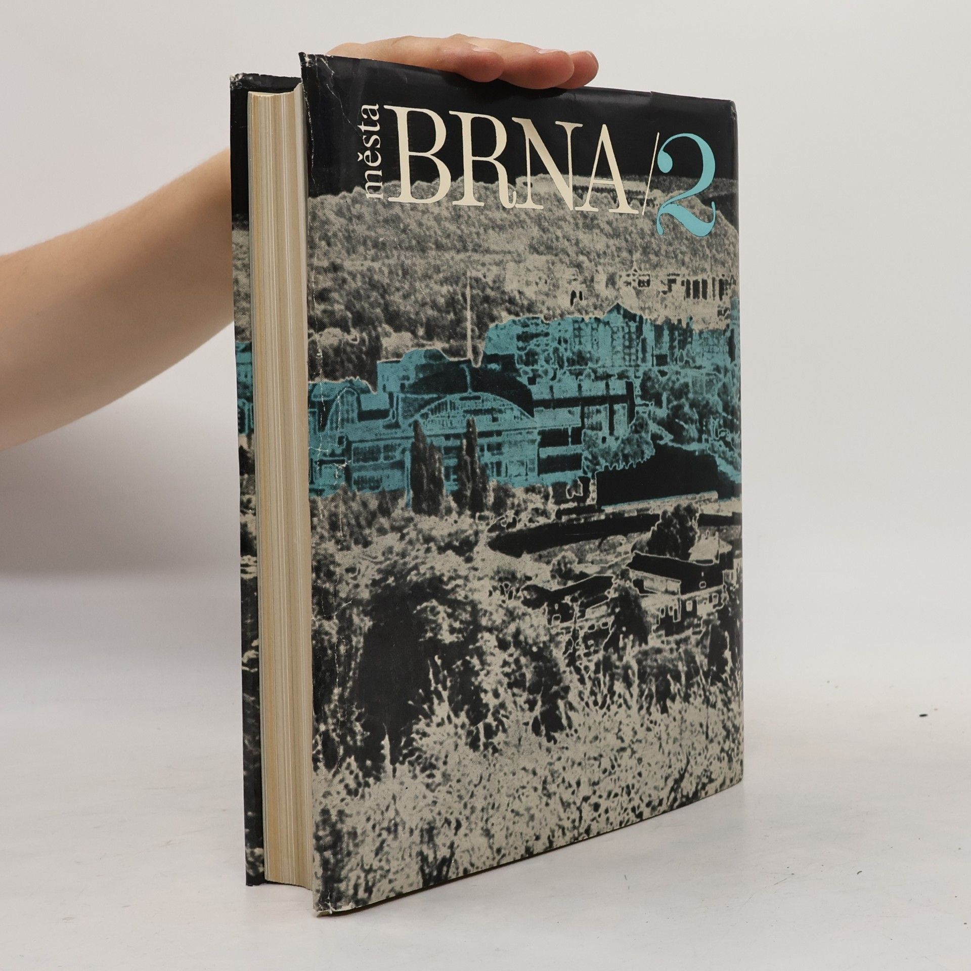 Various authors Dějiny města Brna 2