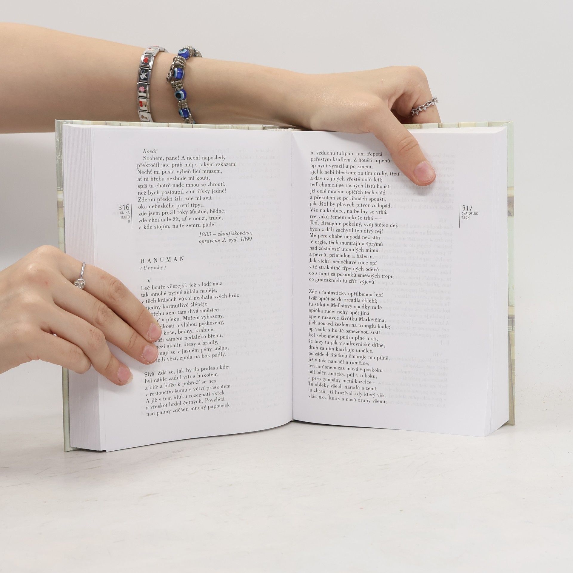 Jaroslava Janáčková Kniha textů 2. Česká literatura od počátků k dnešku. 19. století