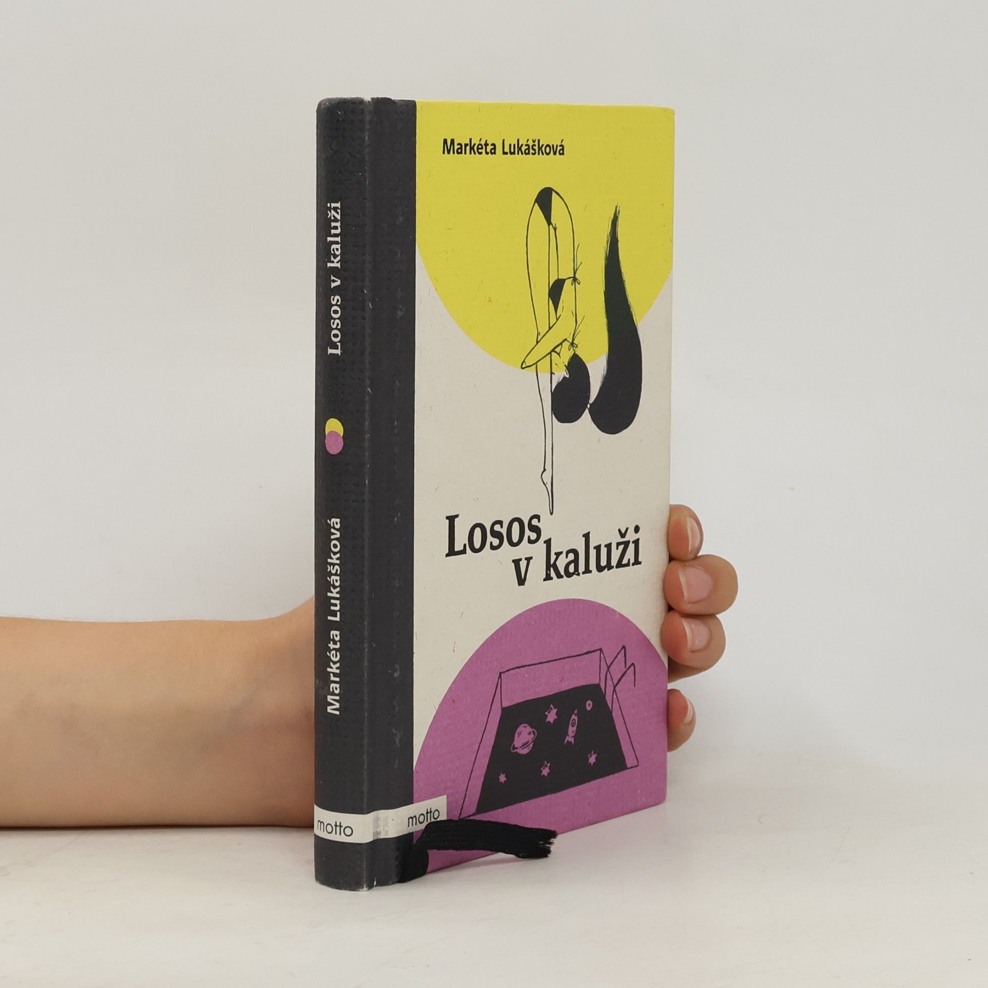 Markéta Lukášková Losos v kaluži